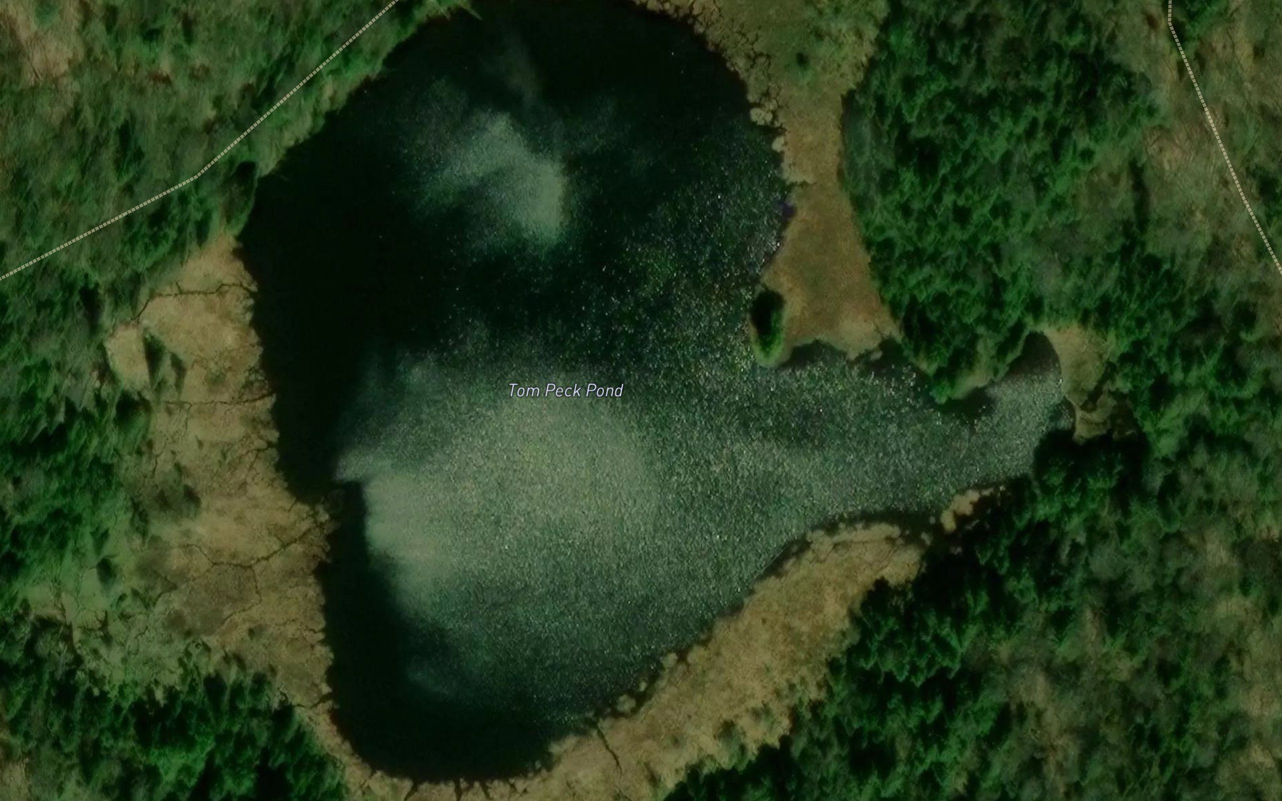 Tom Peck Pond