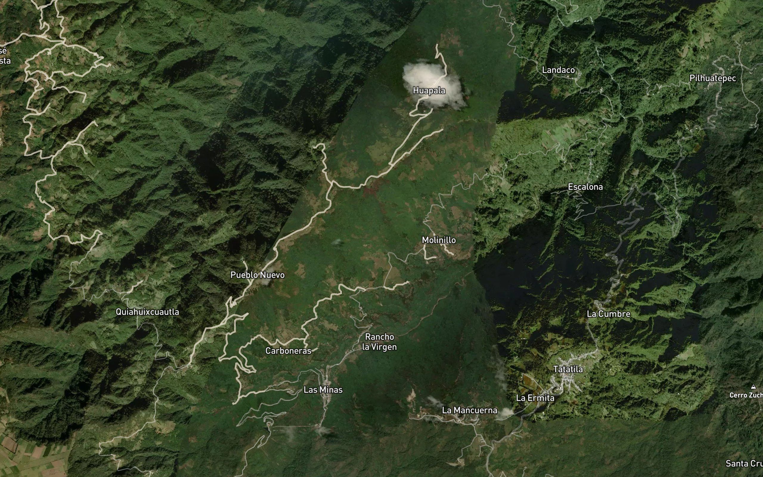 Los Cedros