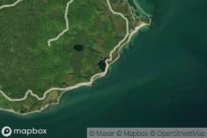 Molasses Pond