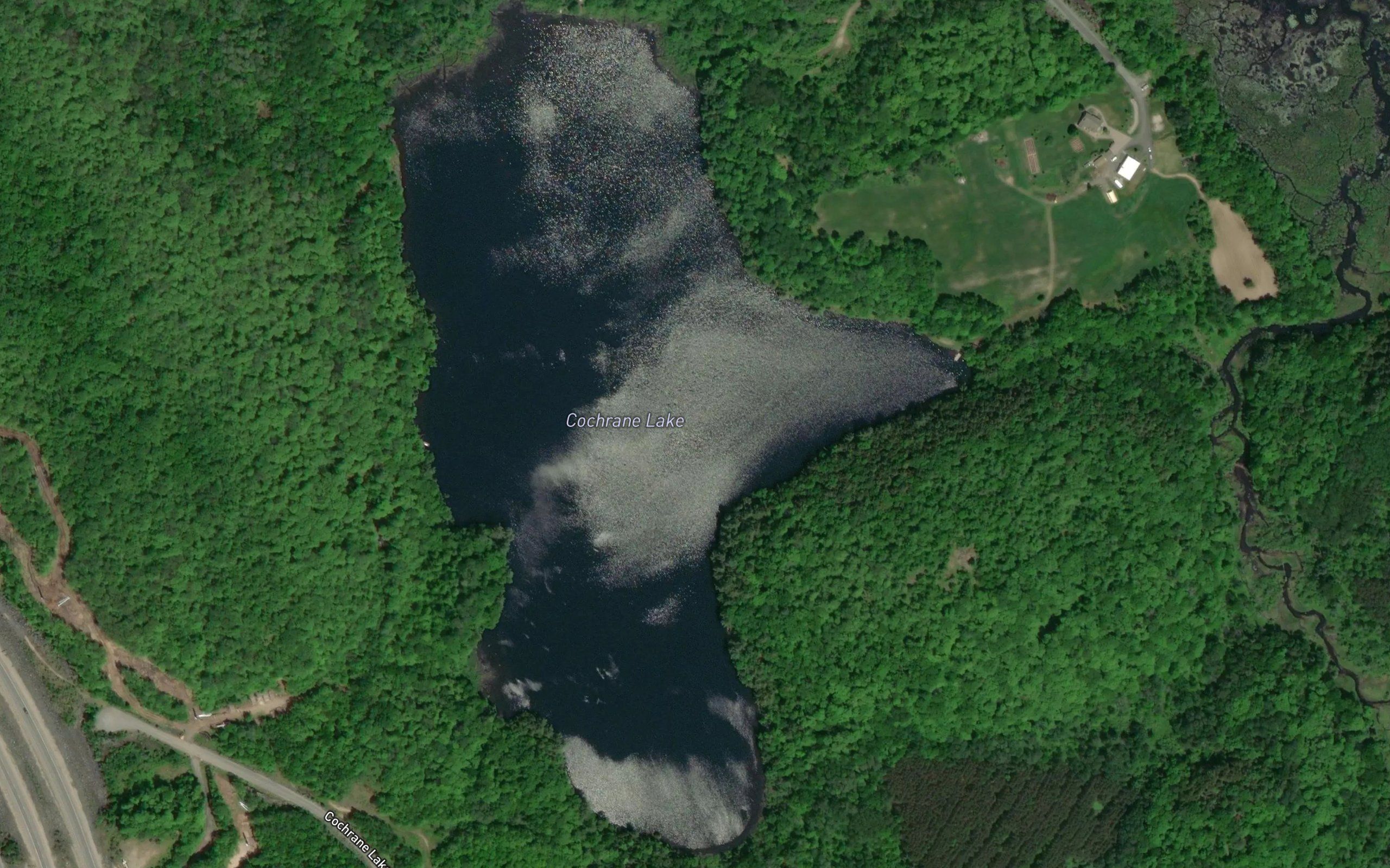 Cochrane Lake