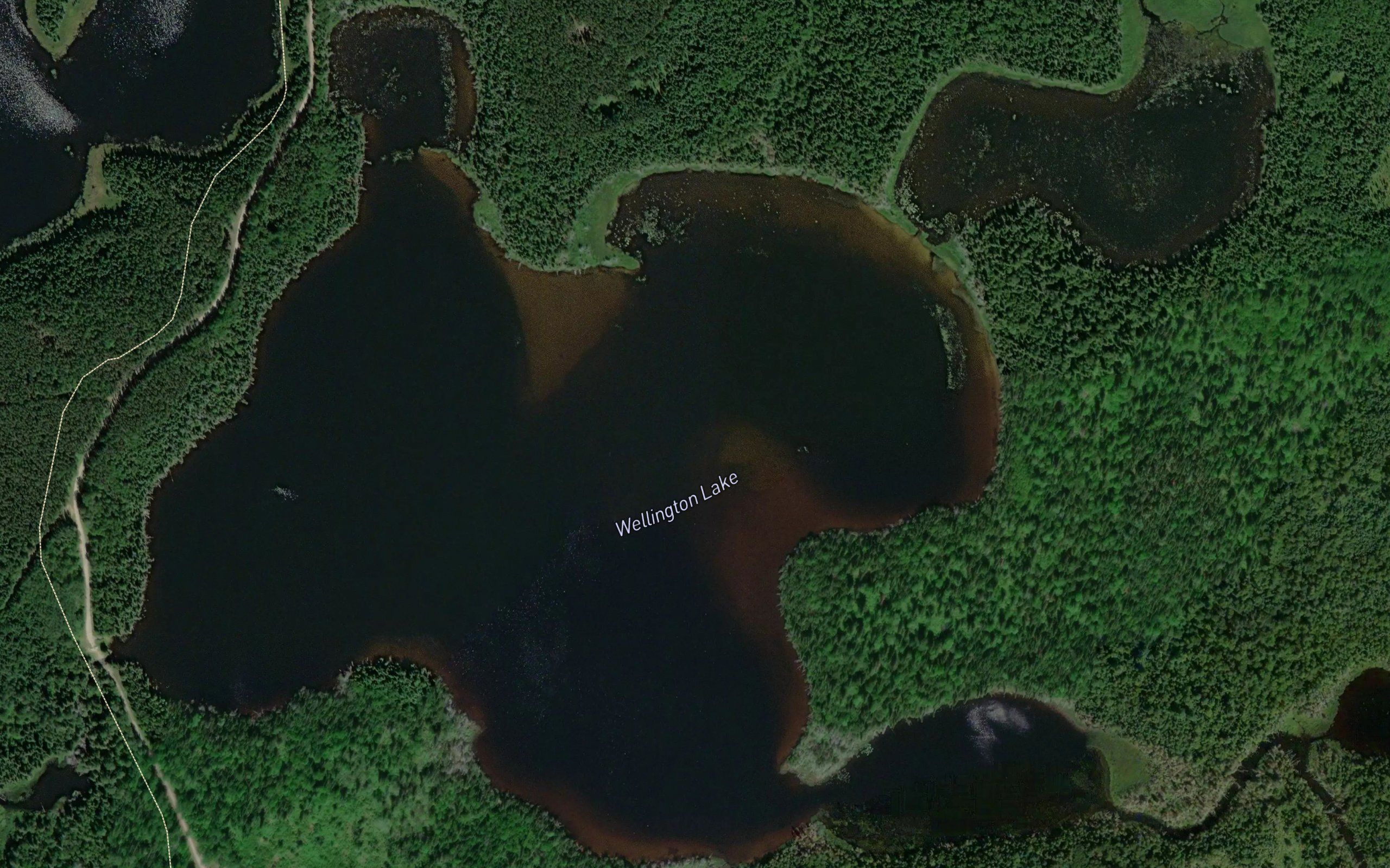 Wellington Lake