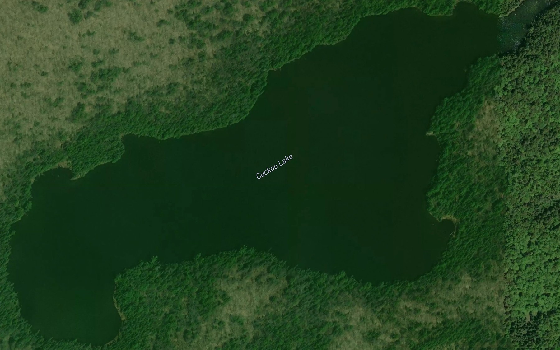 Satellite map of the Cuckoo Lake
