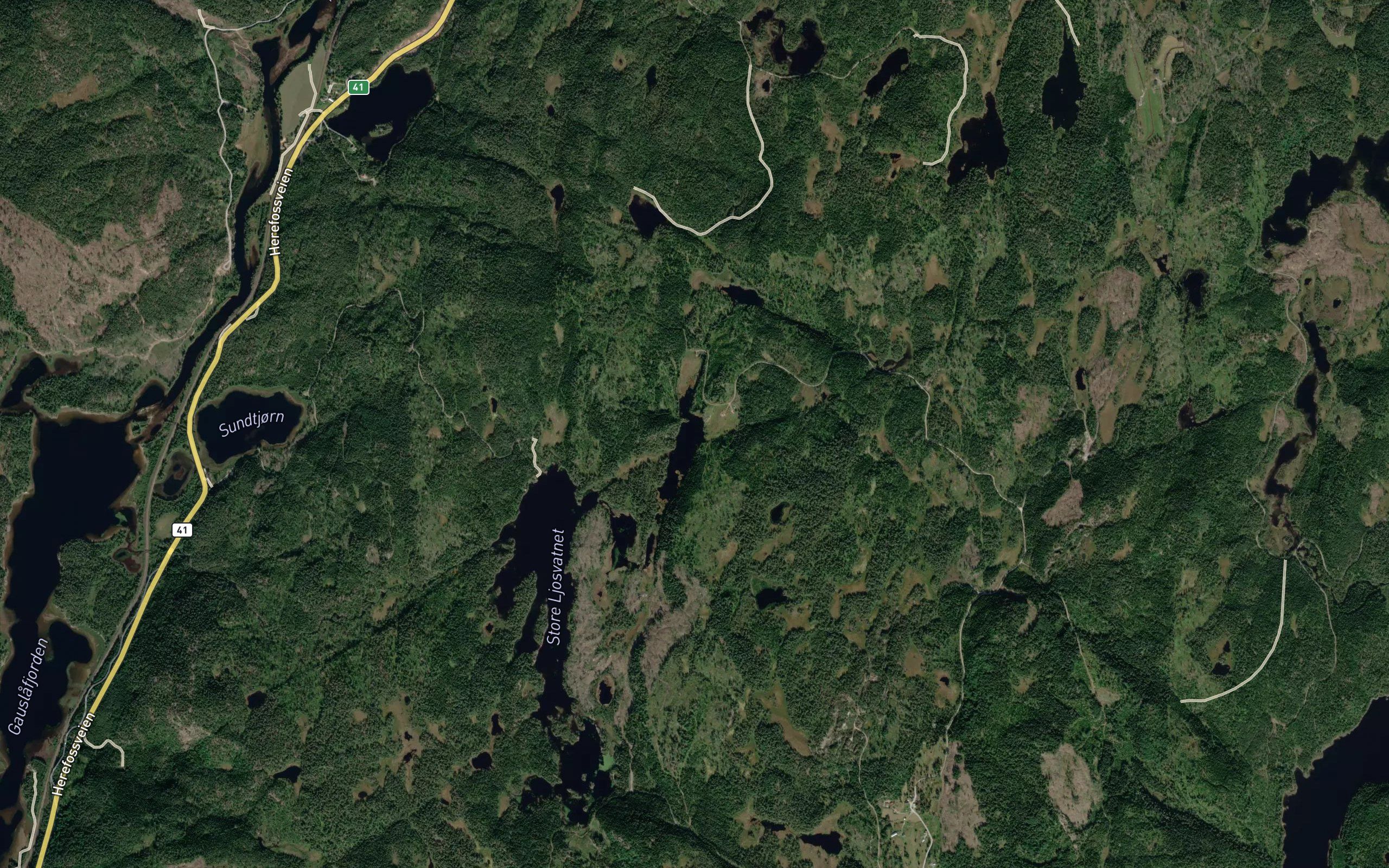 Ringstoltjorn