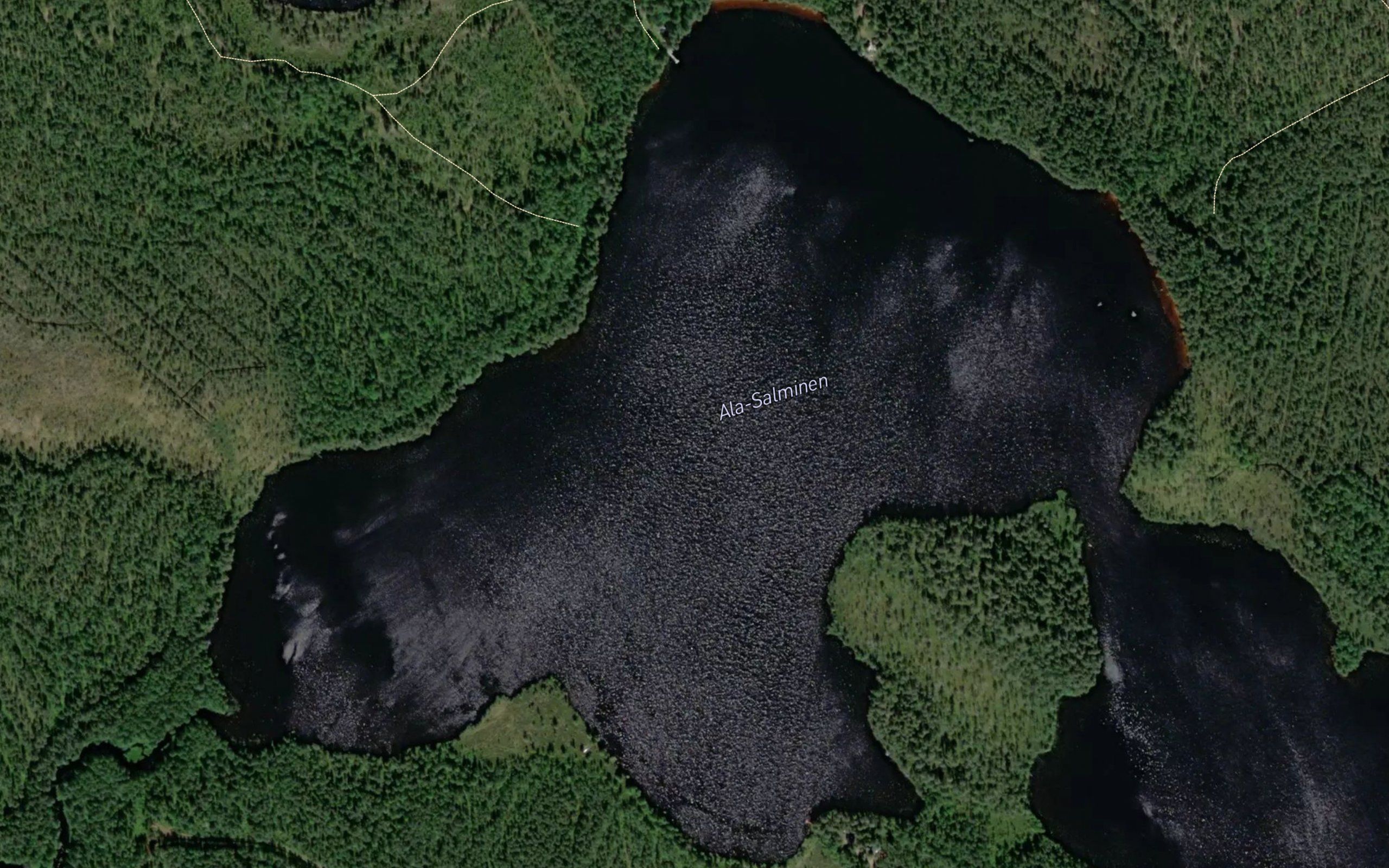 Ala-Salminen