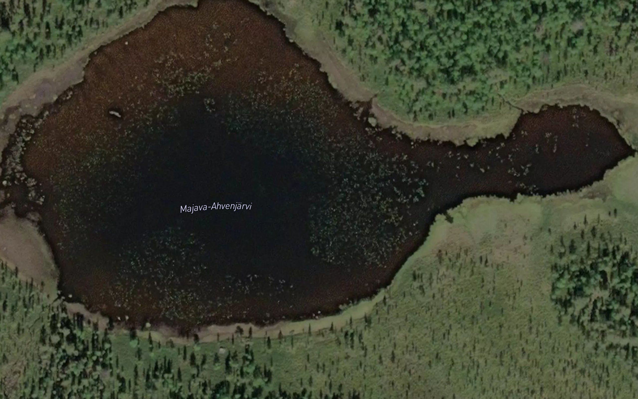 Maijuu-Vuaskujaavras