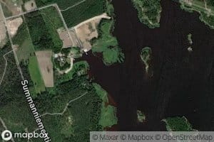 Meitaviikki