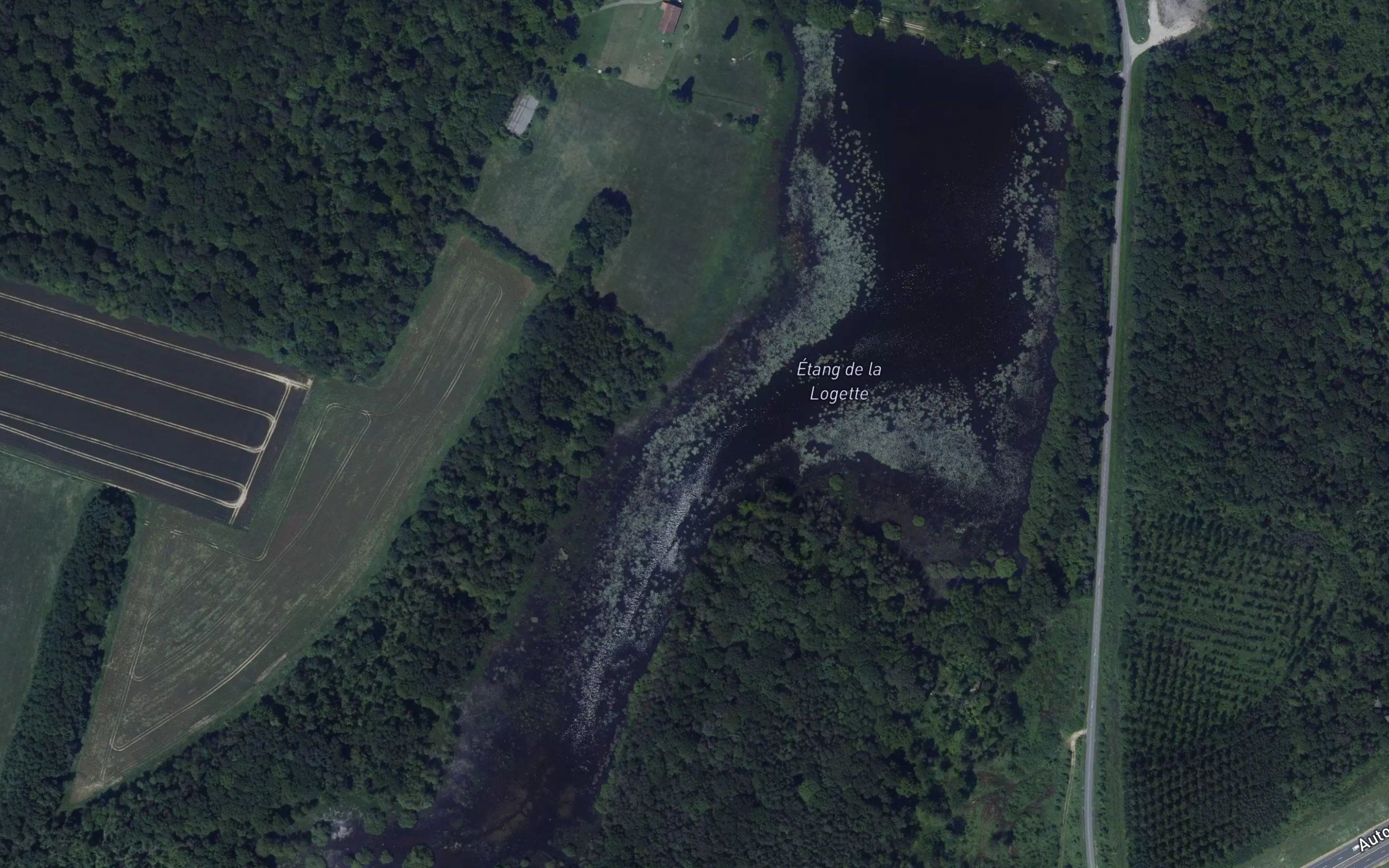 Etang de la Logette