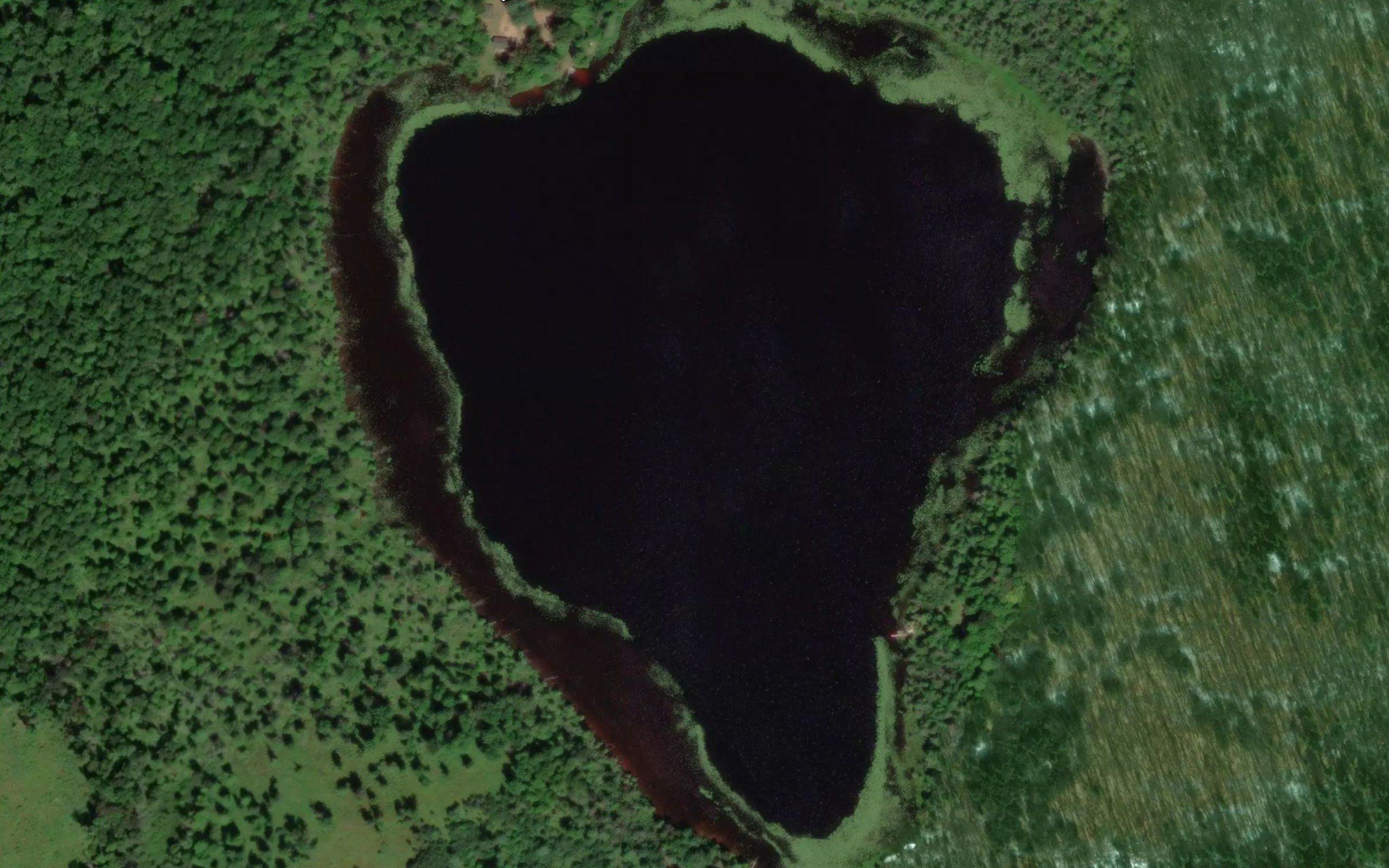 Lake of the Woods
