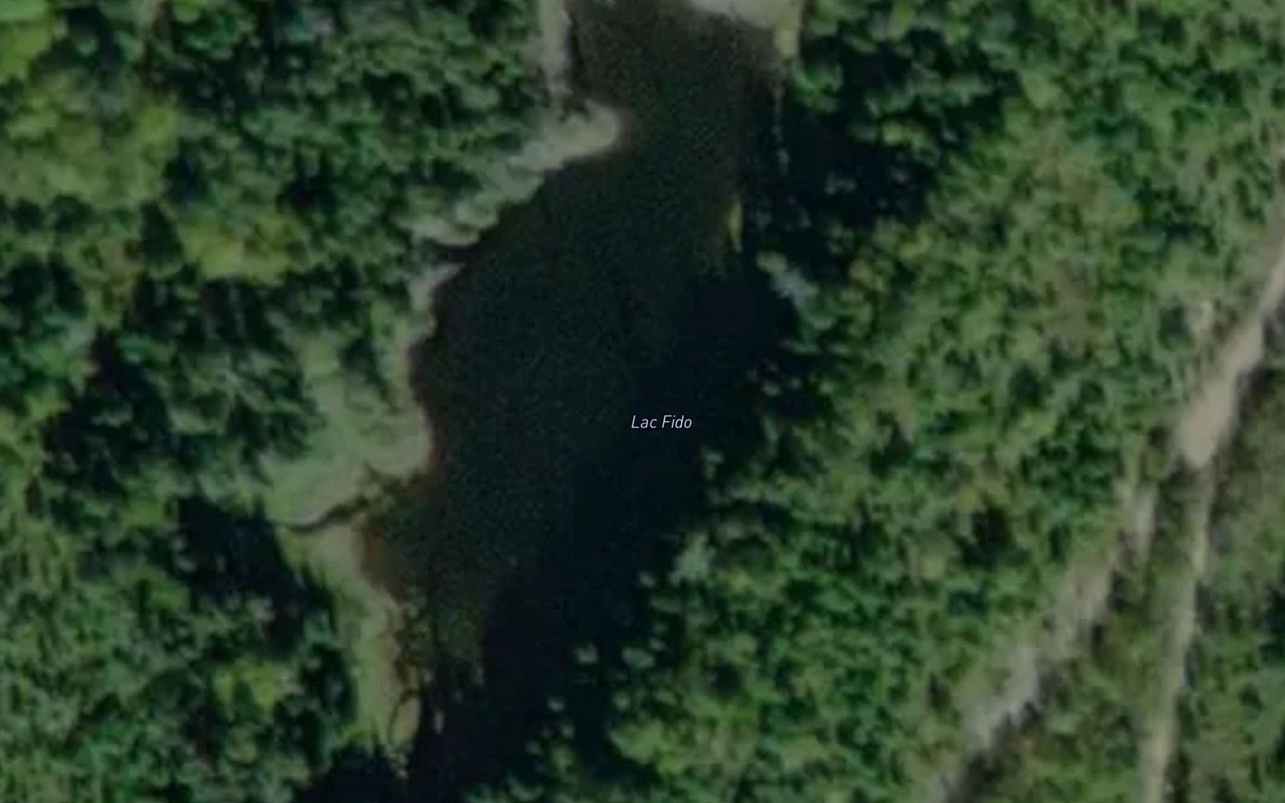 Satellite map of the Lac Fido
