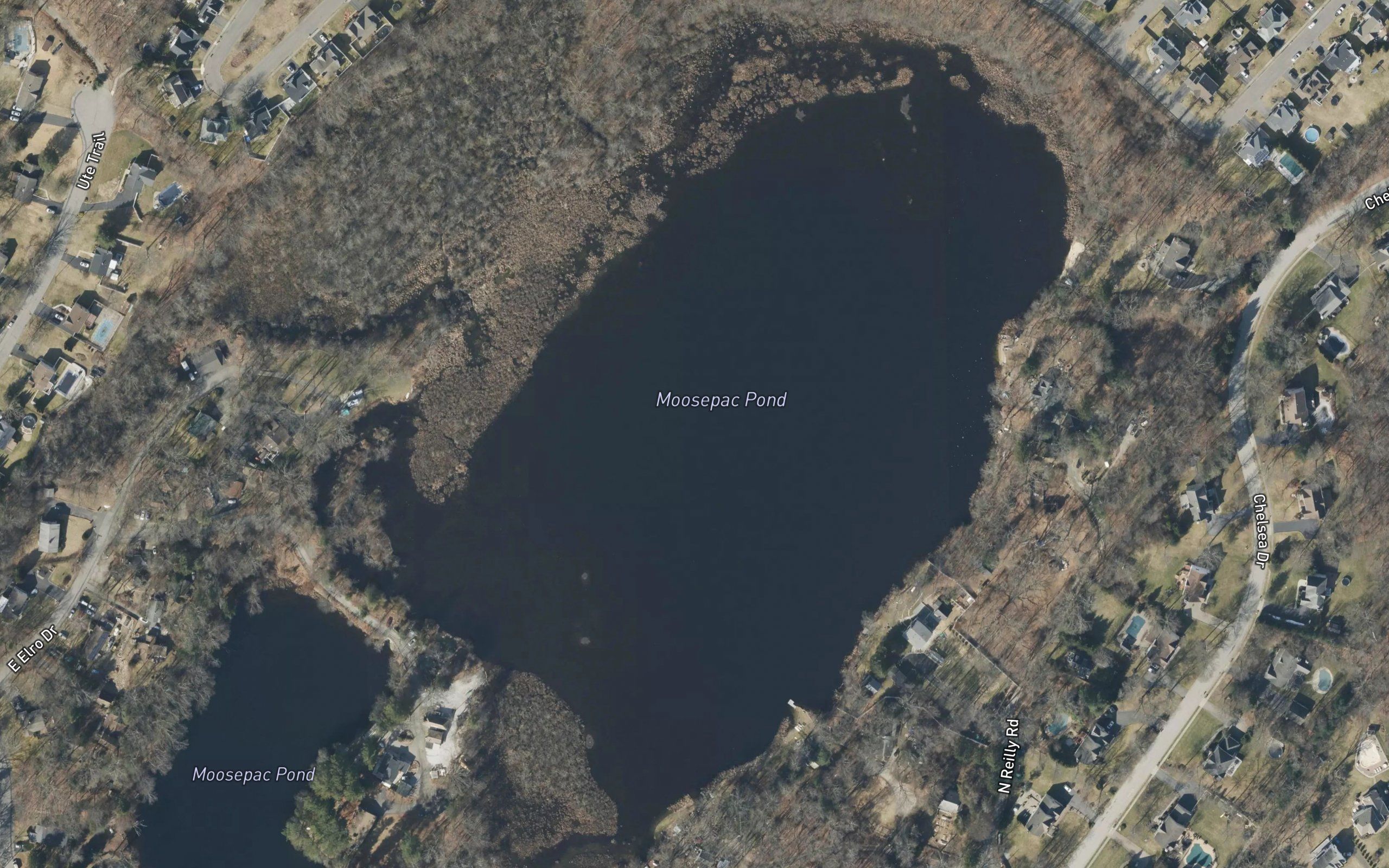 Moosepac Pond
