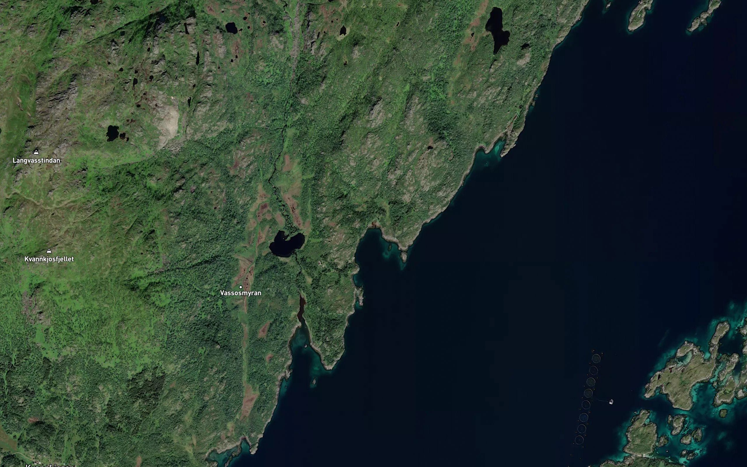 Forvika