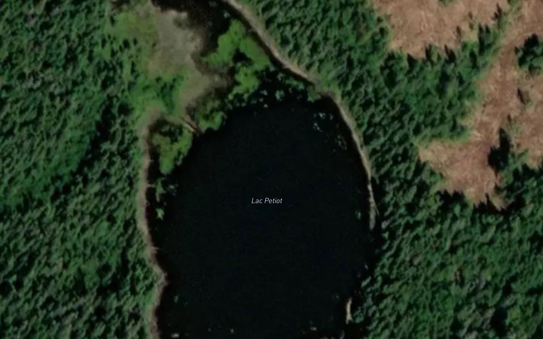 Satellite map of the Lac Petiot