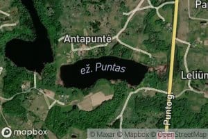 Ezeras Puntas