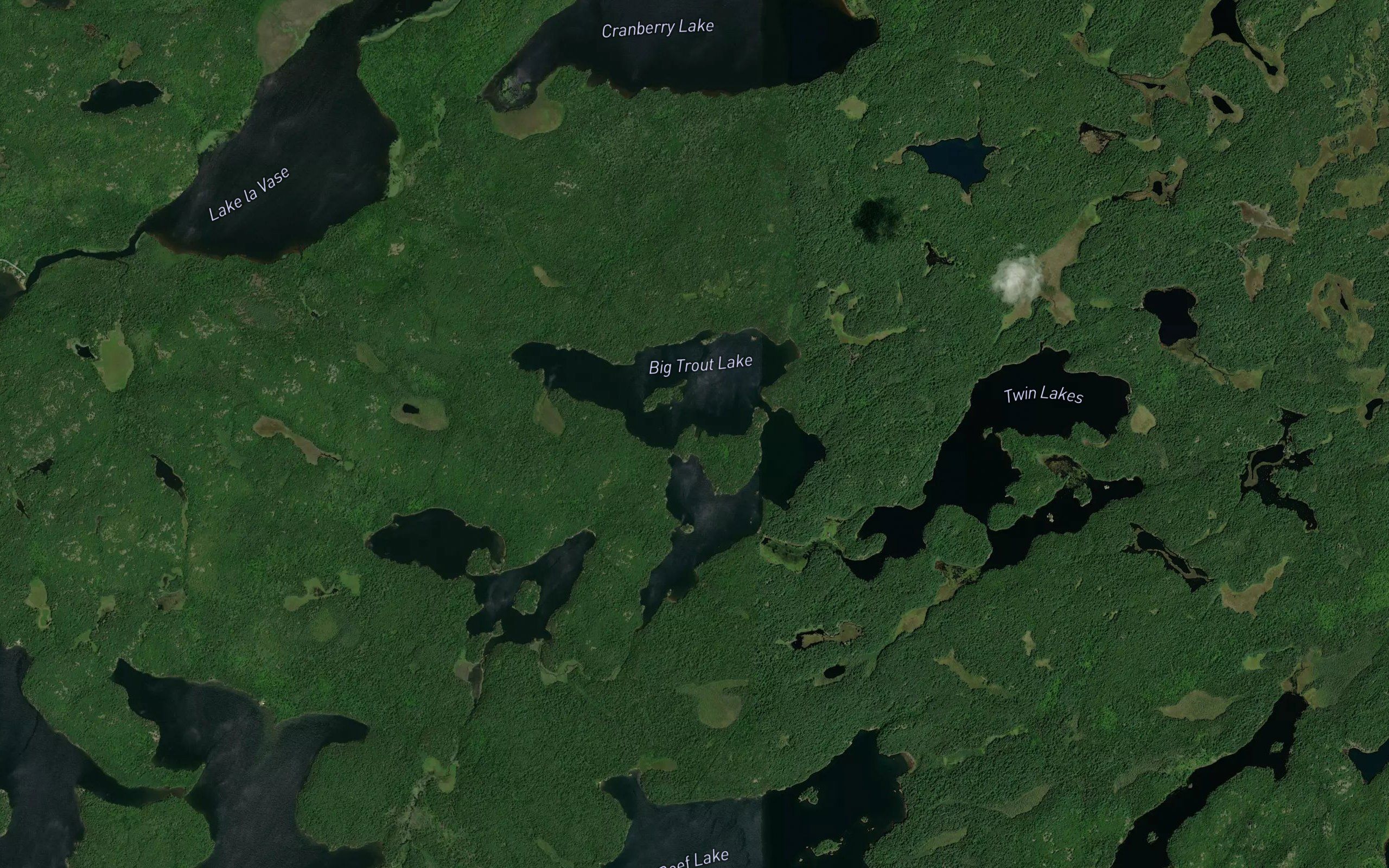 Big Trout Lake