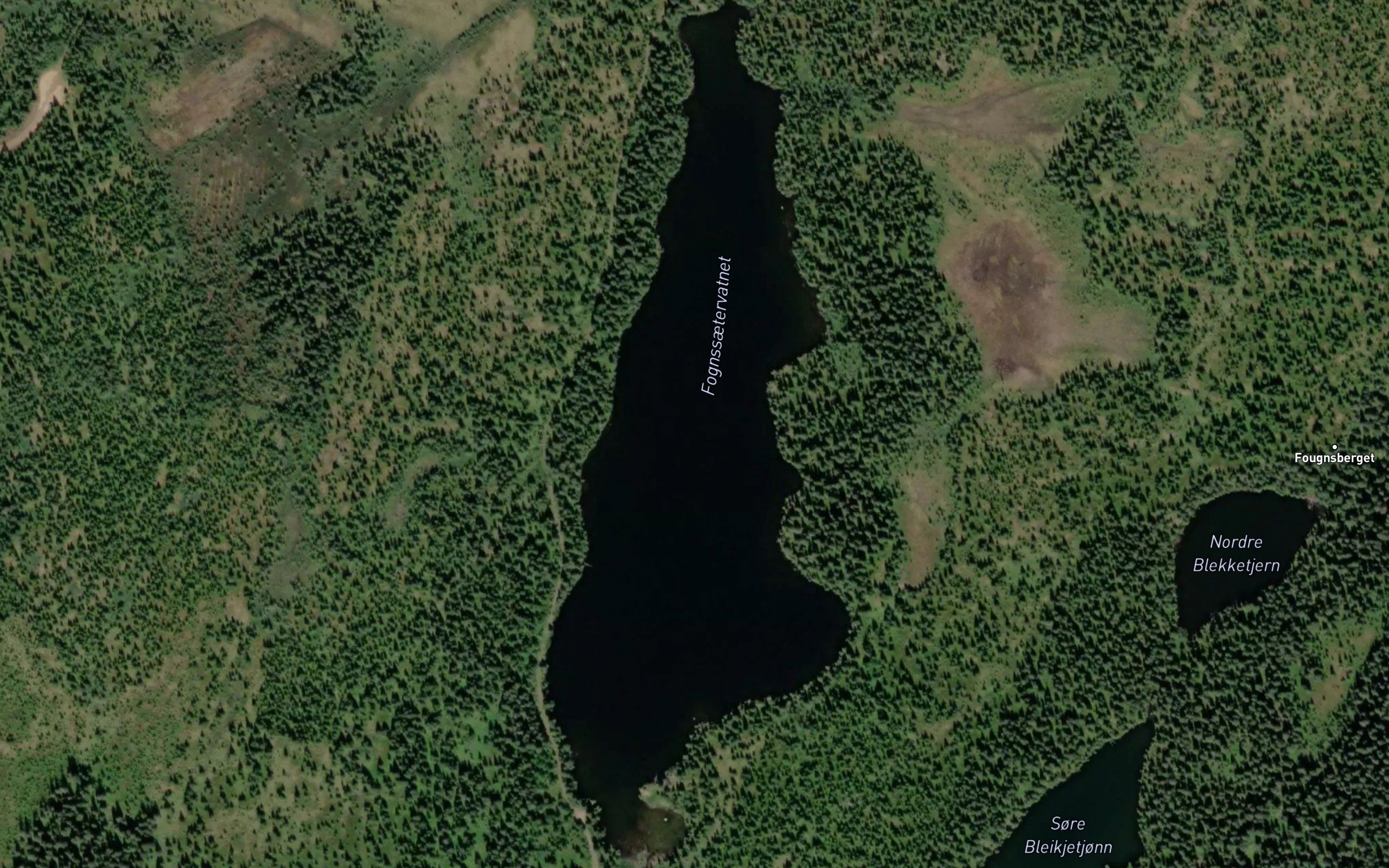 Fougnsaetervatnet