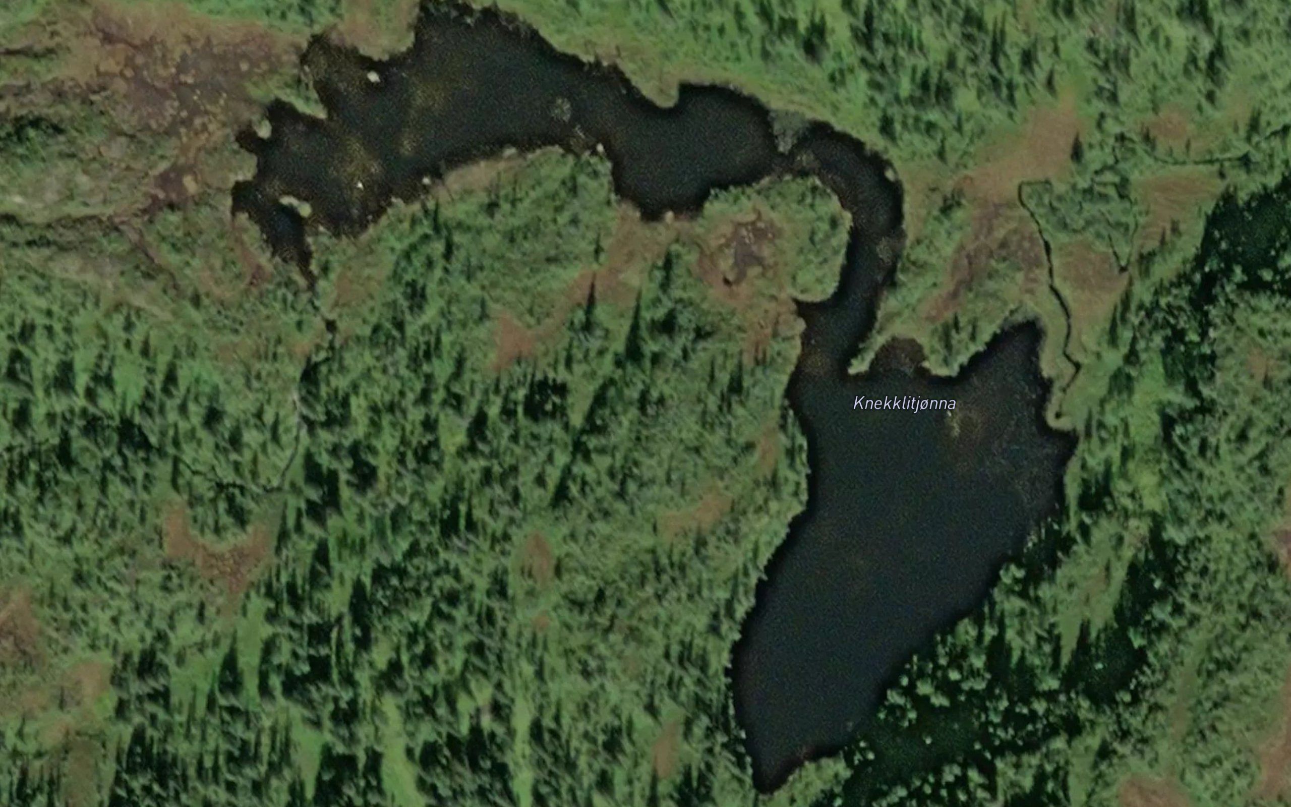 Knekklitjorna