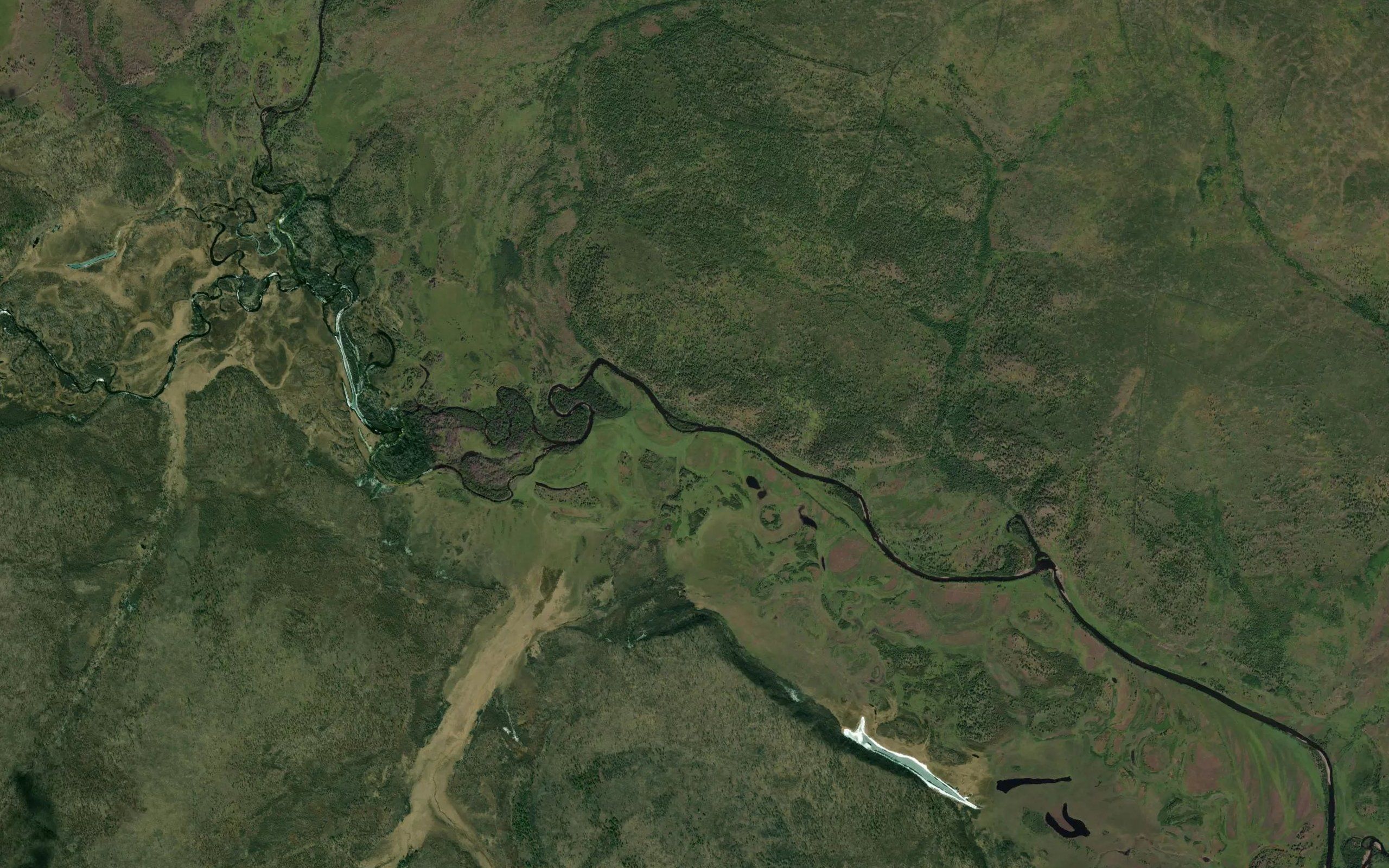 Gryaznyy