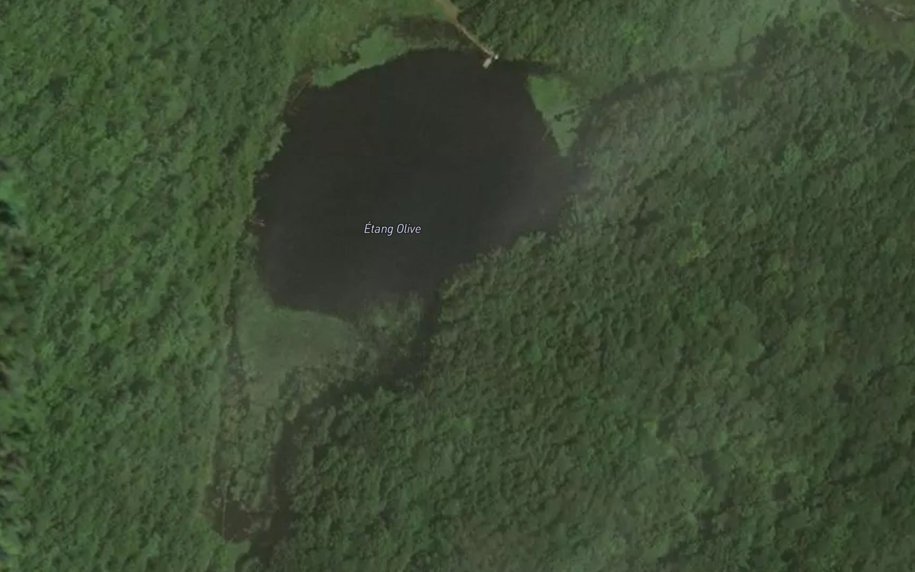 Satellite map of the Etang Olive