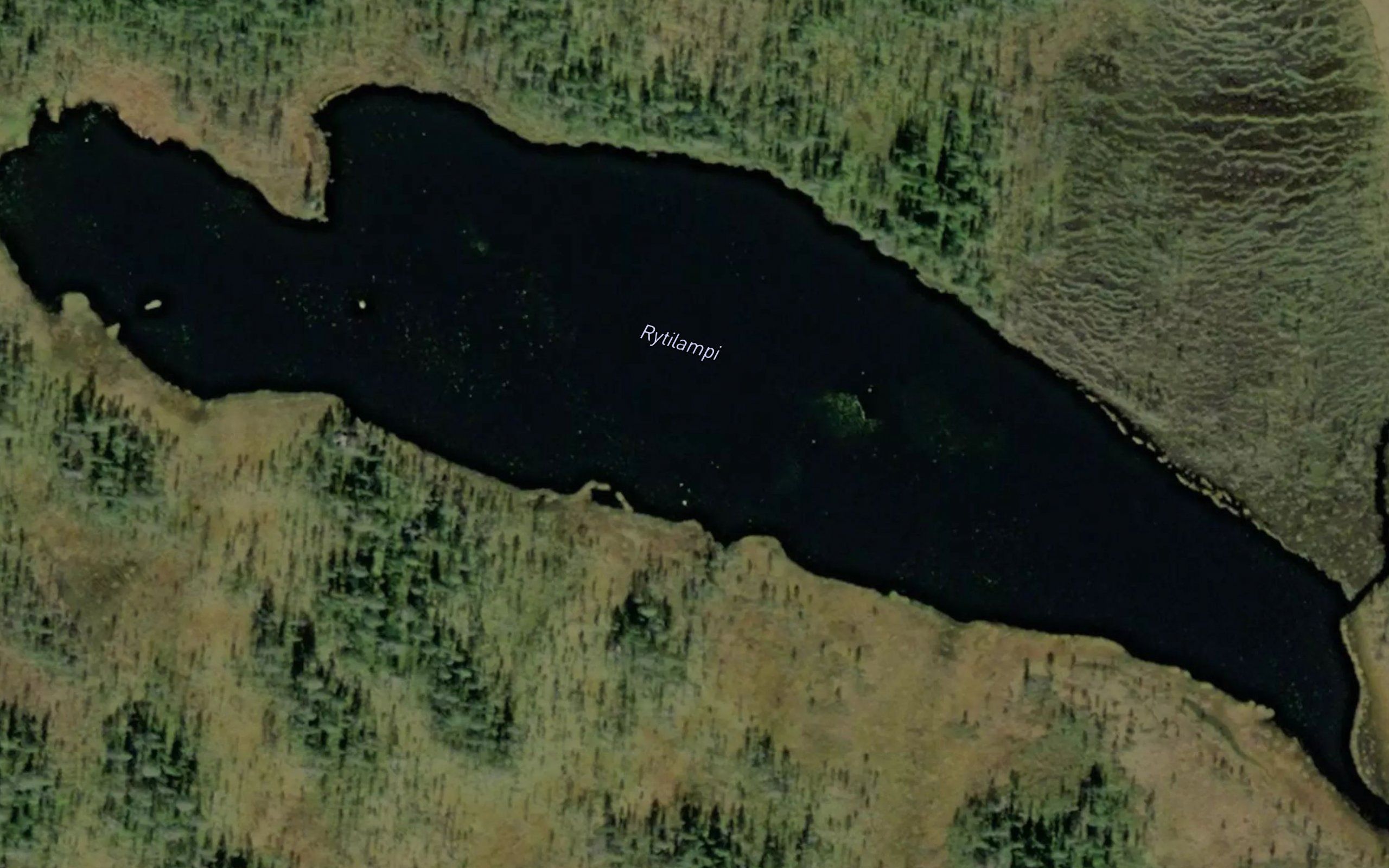 Rytilampi