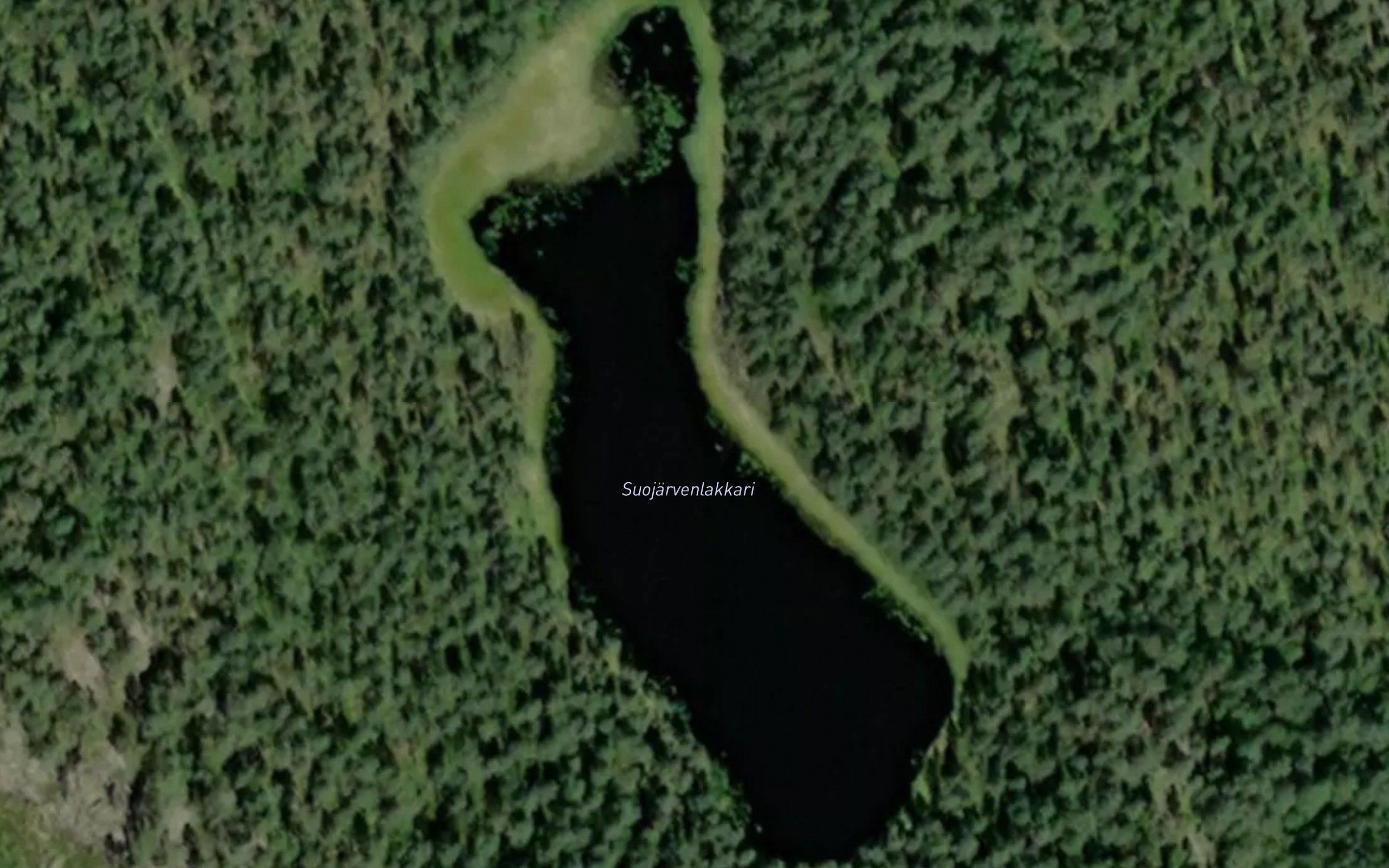 Suojarvenlakkari