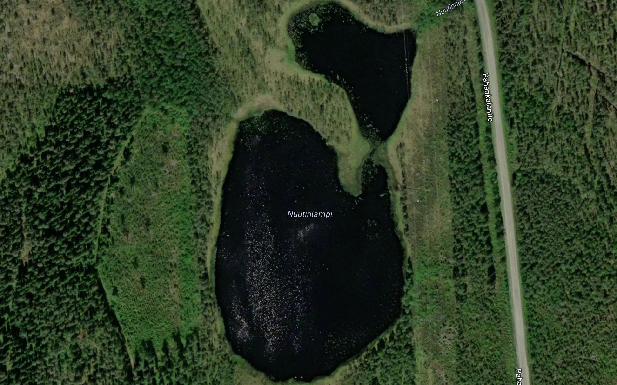 Nuutinlampi