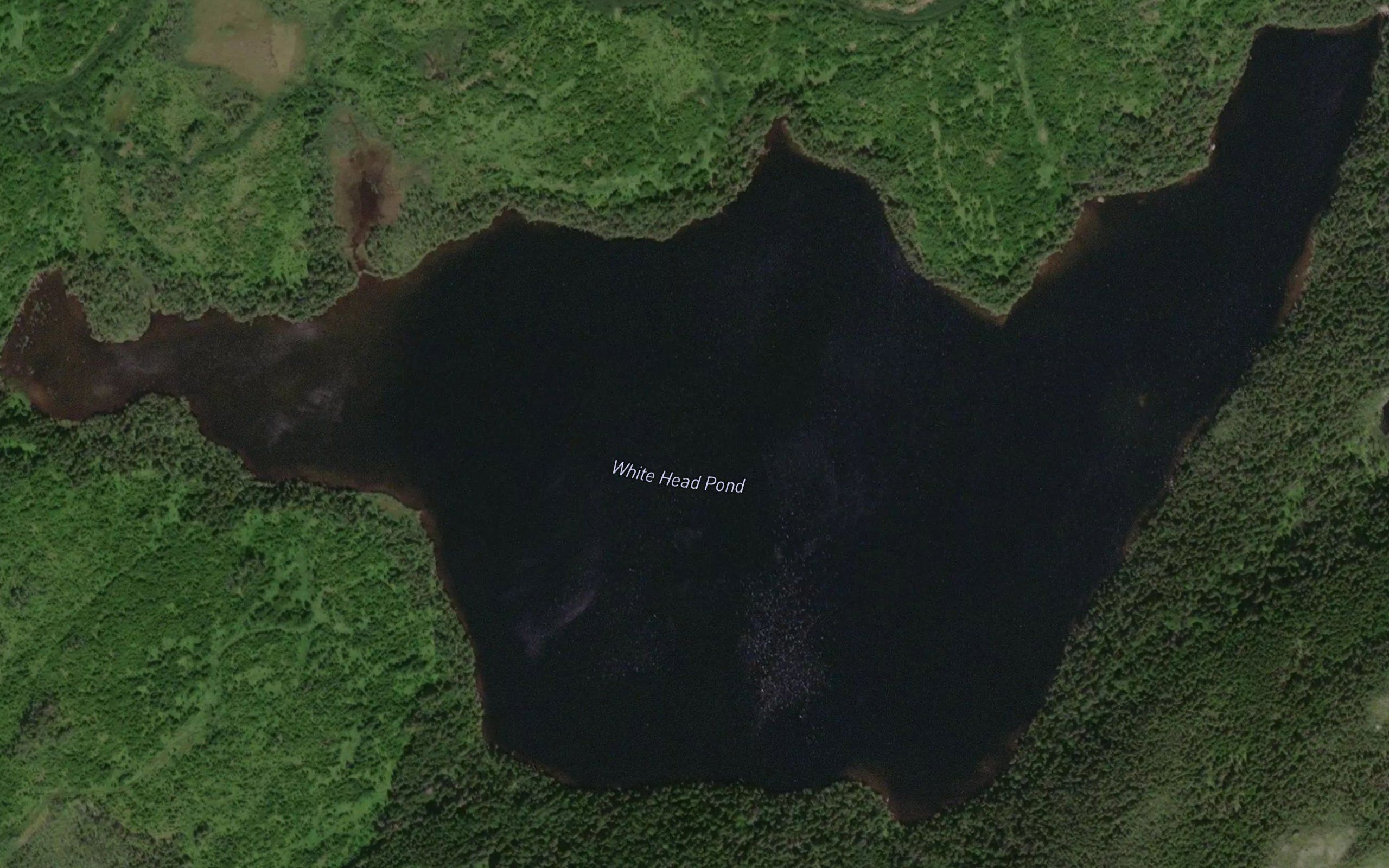 White Head Pond