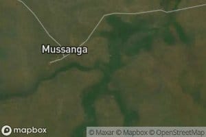 Mussanga