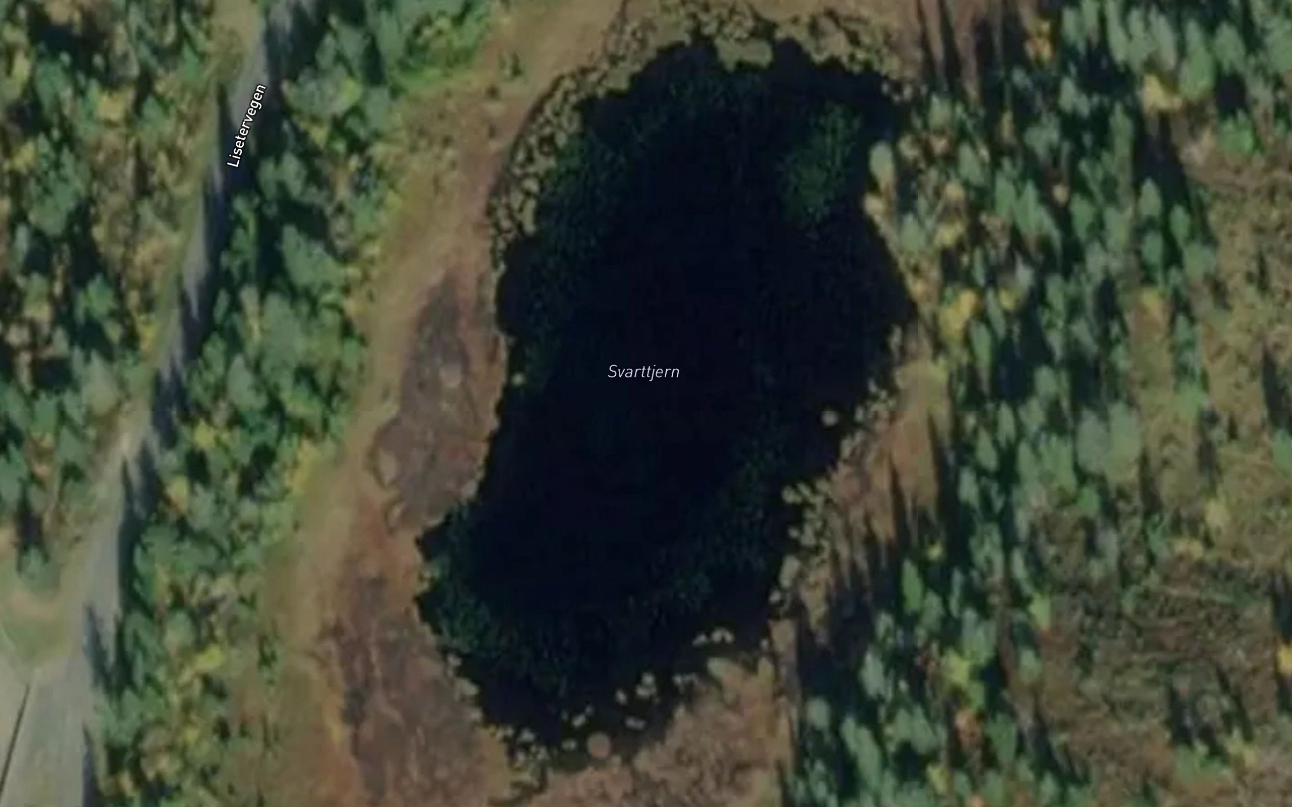 Svarttjern