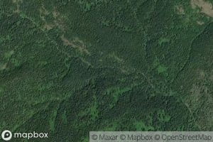 Tangle Creek