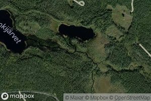 Kontiojoki