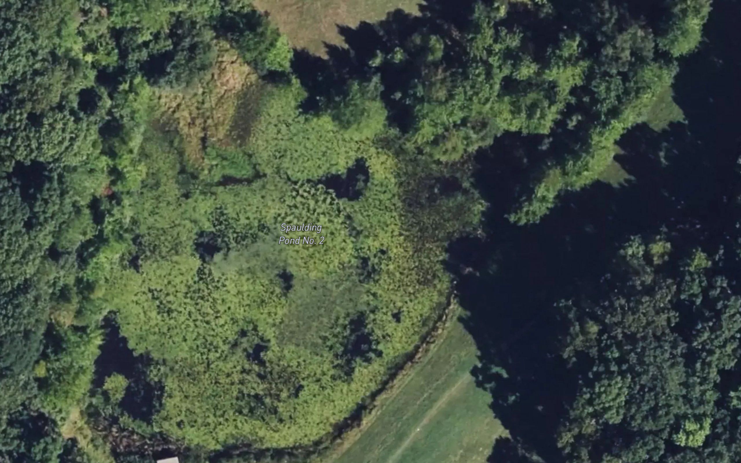 Spaulding Pond Site Number 2