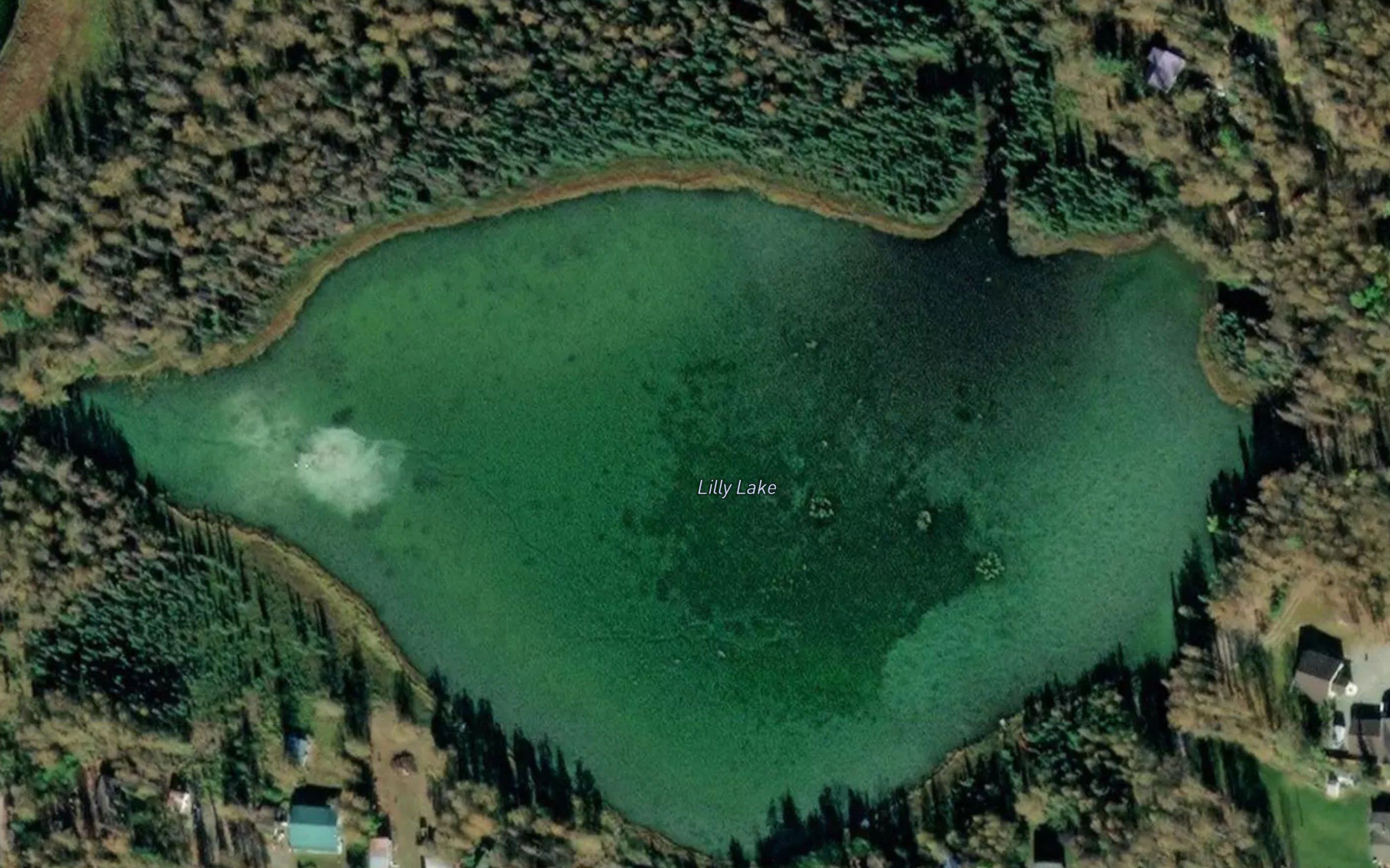 Lilly Lake