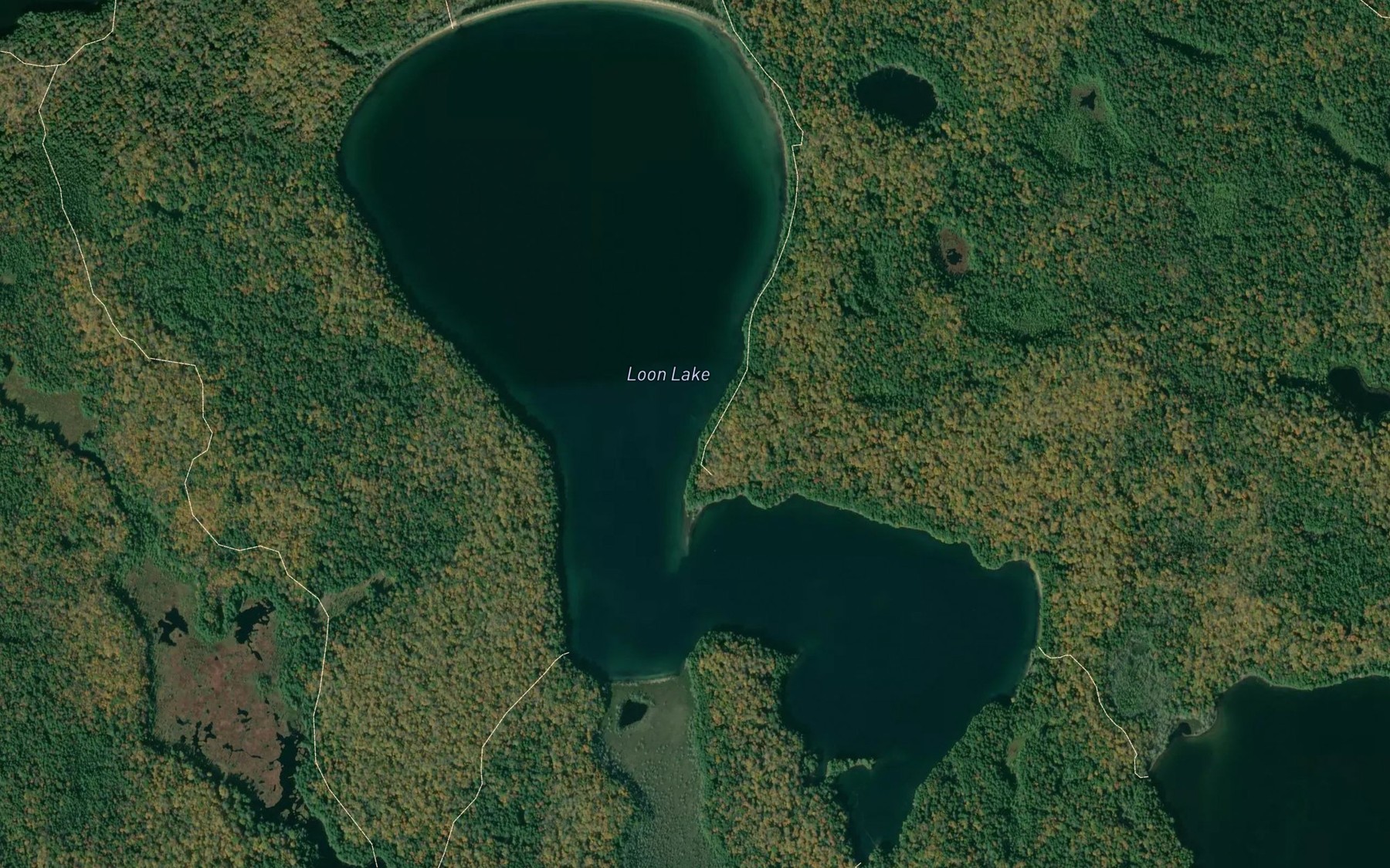 Satellite map of the Loon Lake