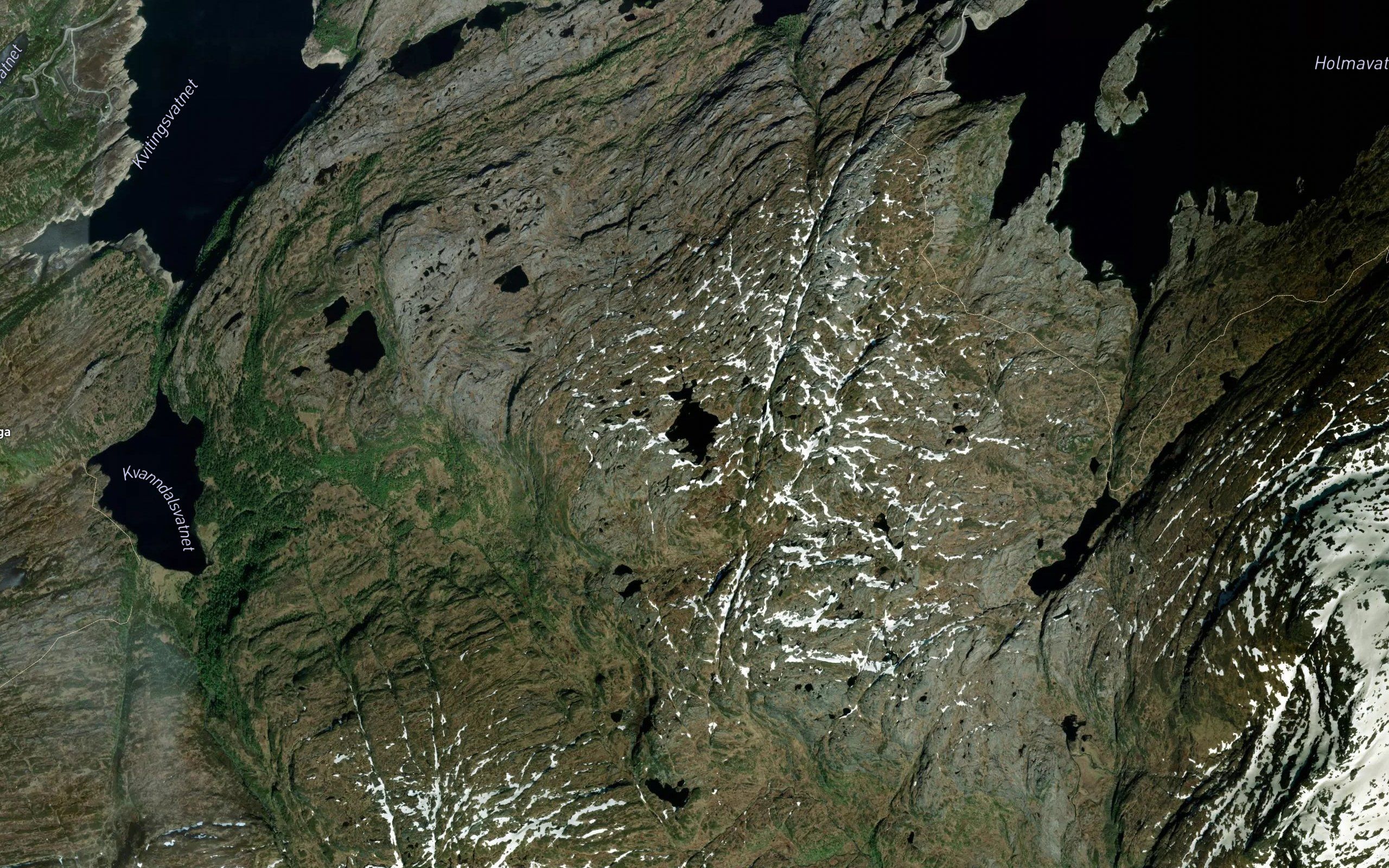 Royrfjelltjorna