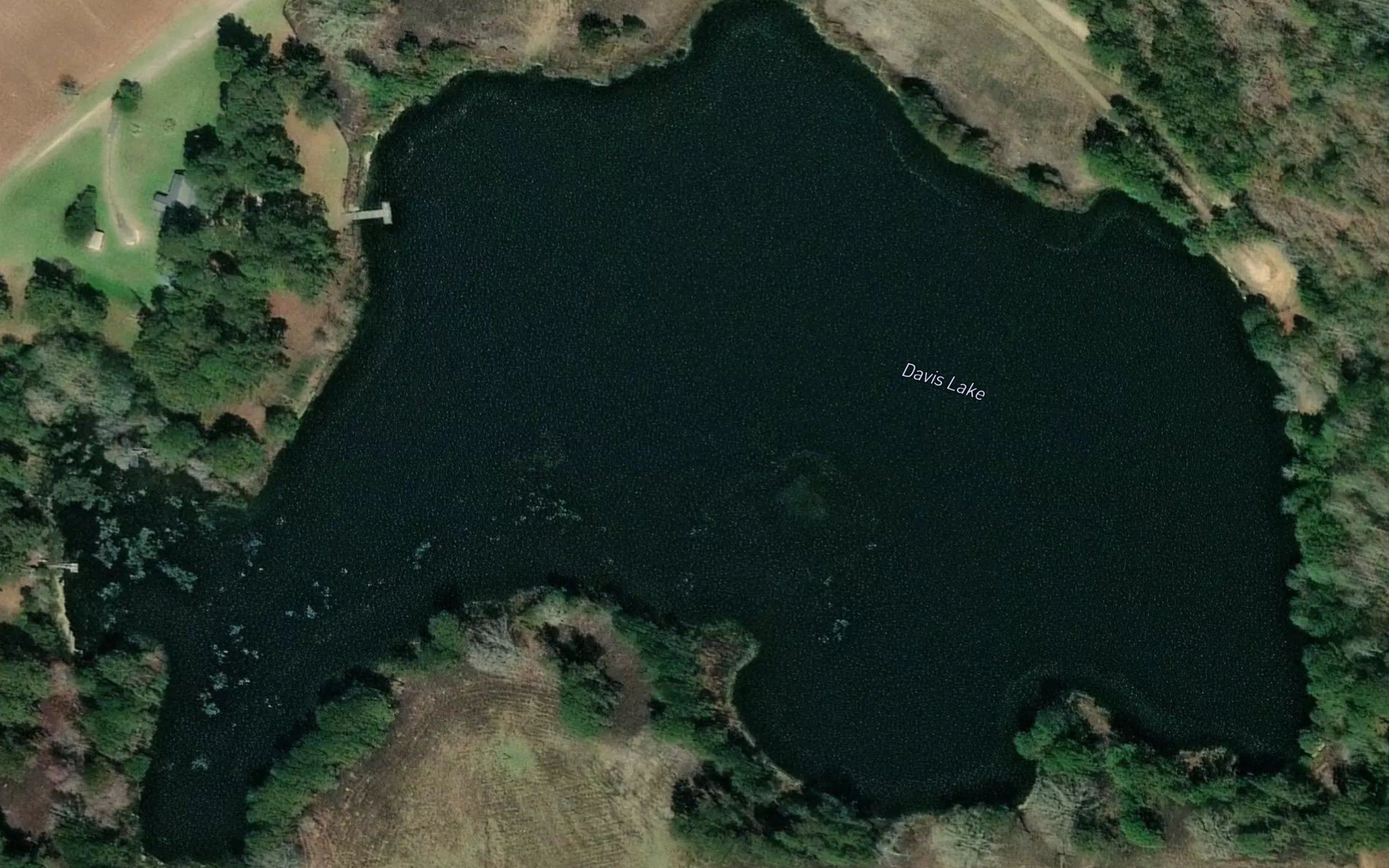 Davis Lake