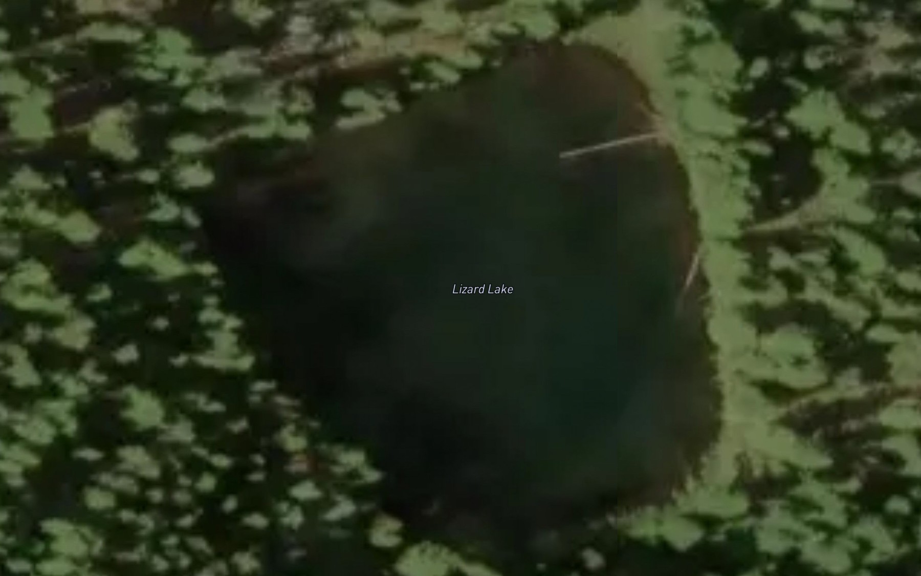Satellite map of the Lizard Lake