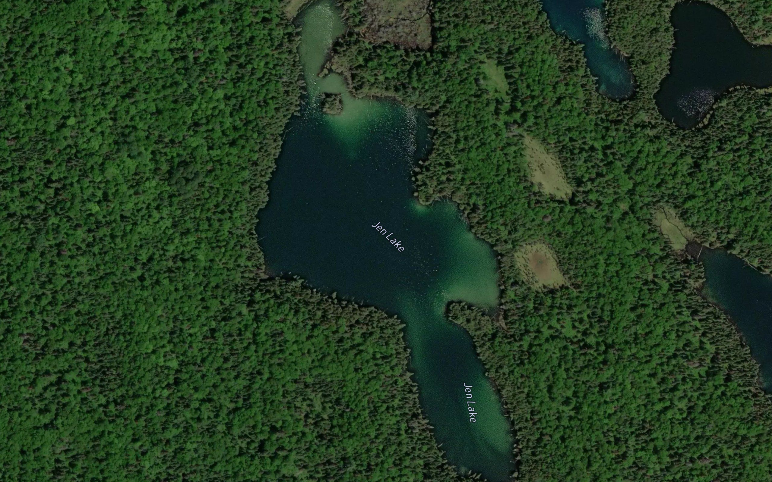 Jen Lake