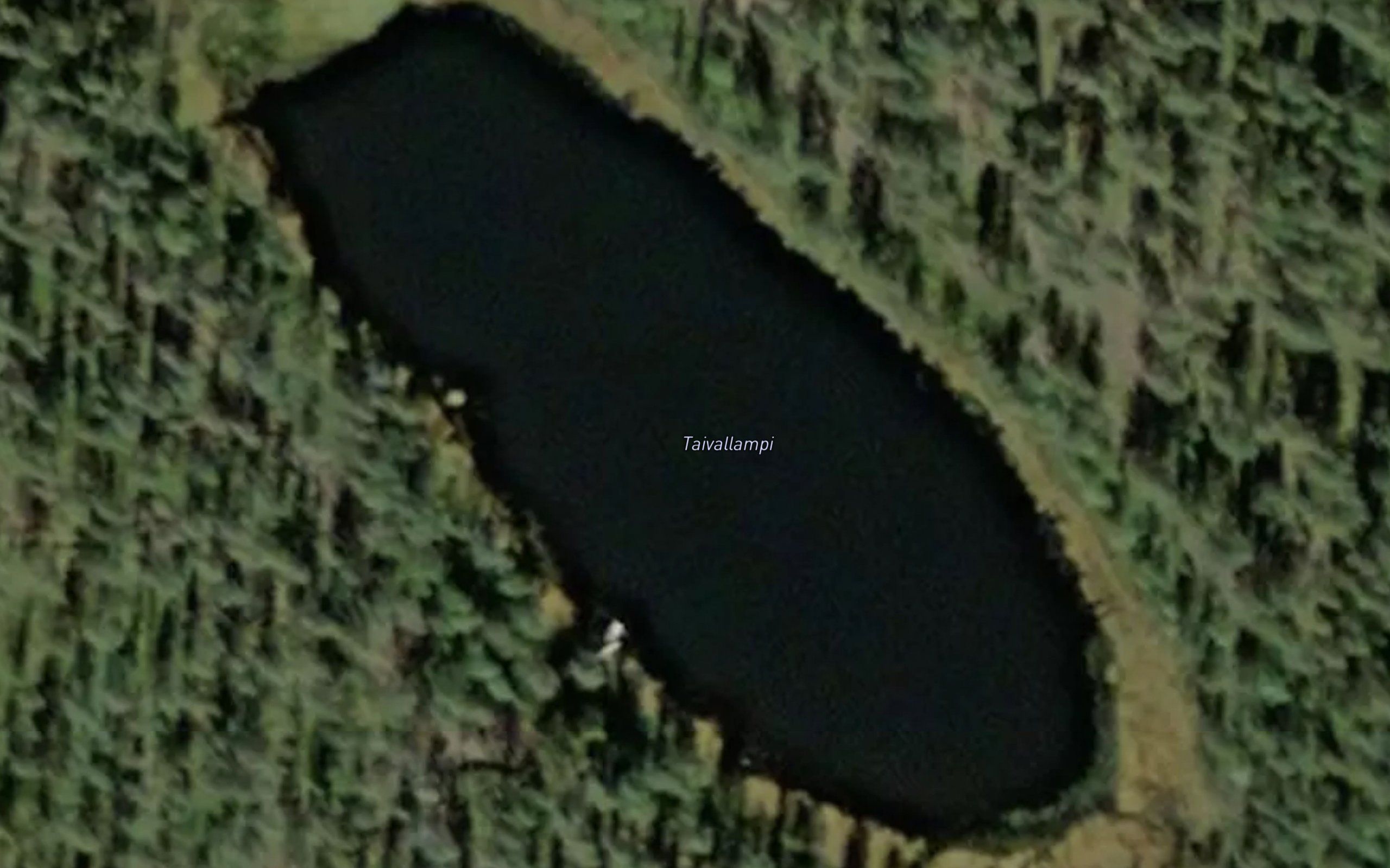 Taivallampi