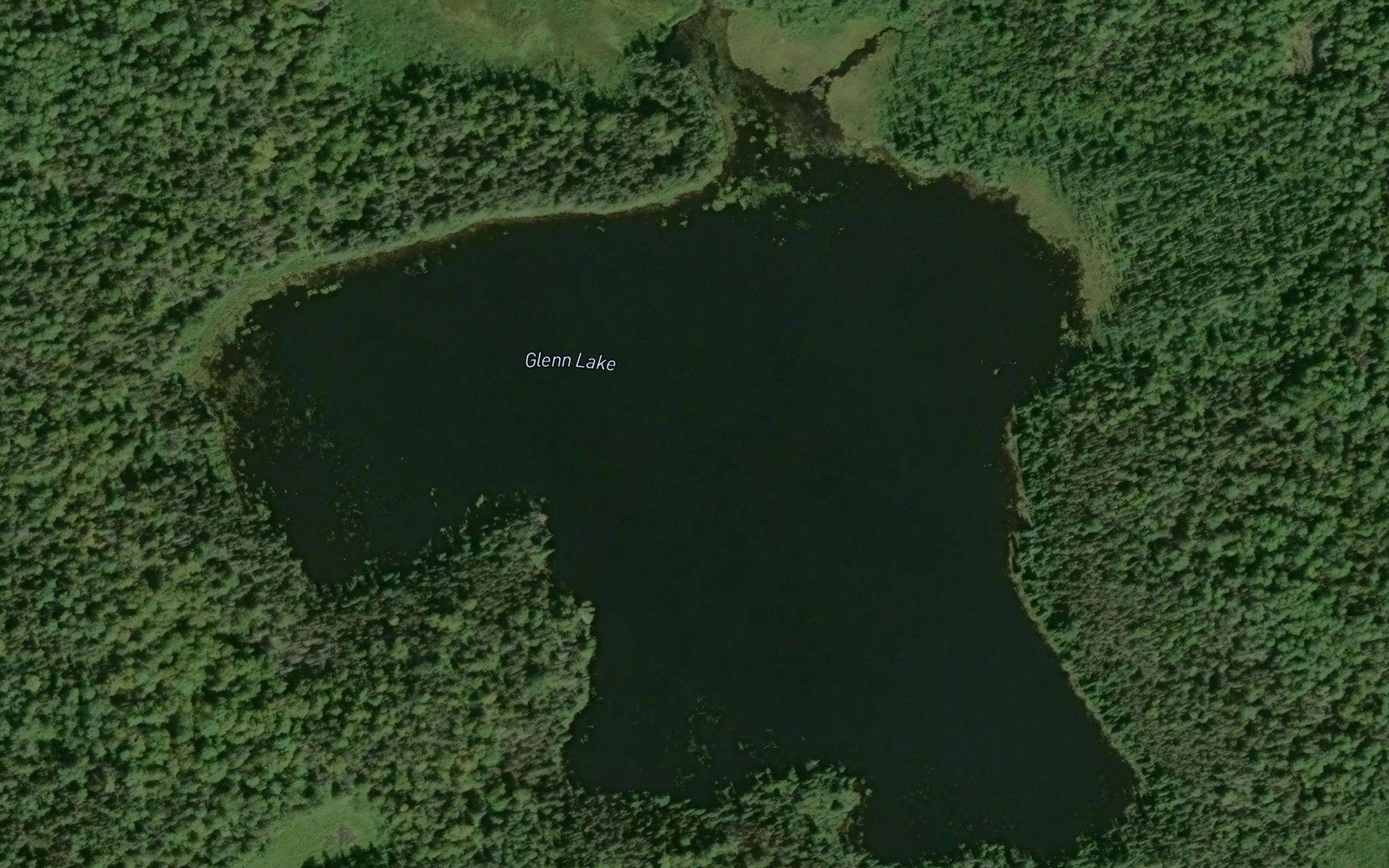 Glenn Lake