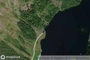Kjodnesviki