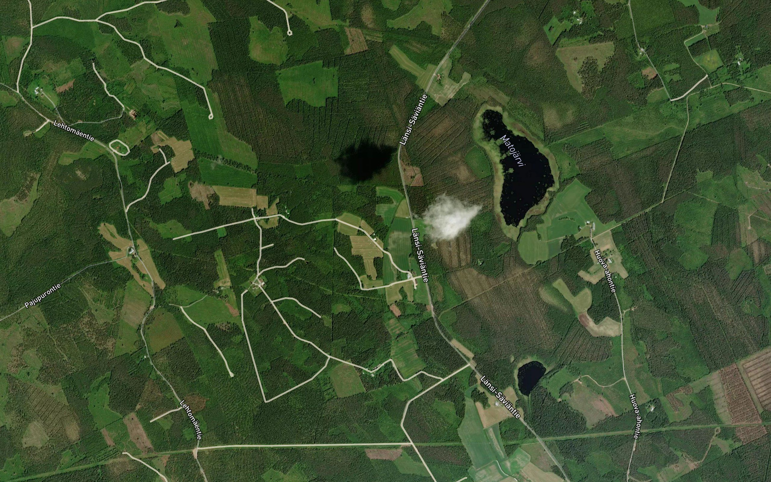Leppapuro