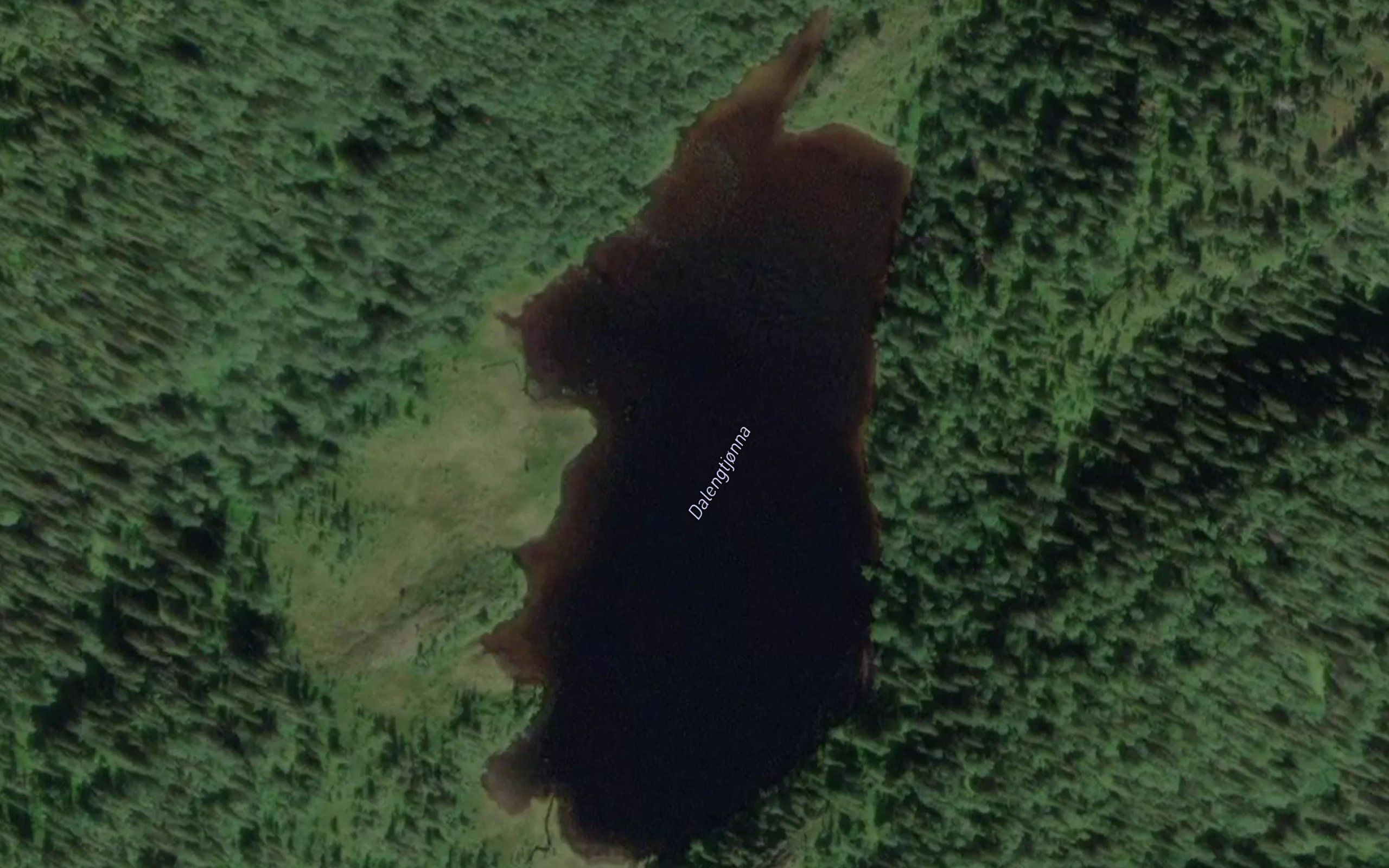 Dalengtjonna