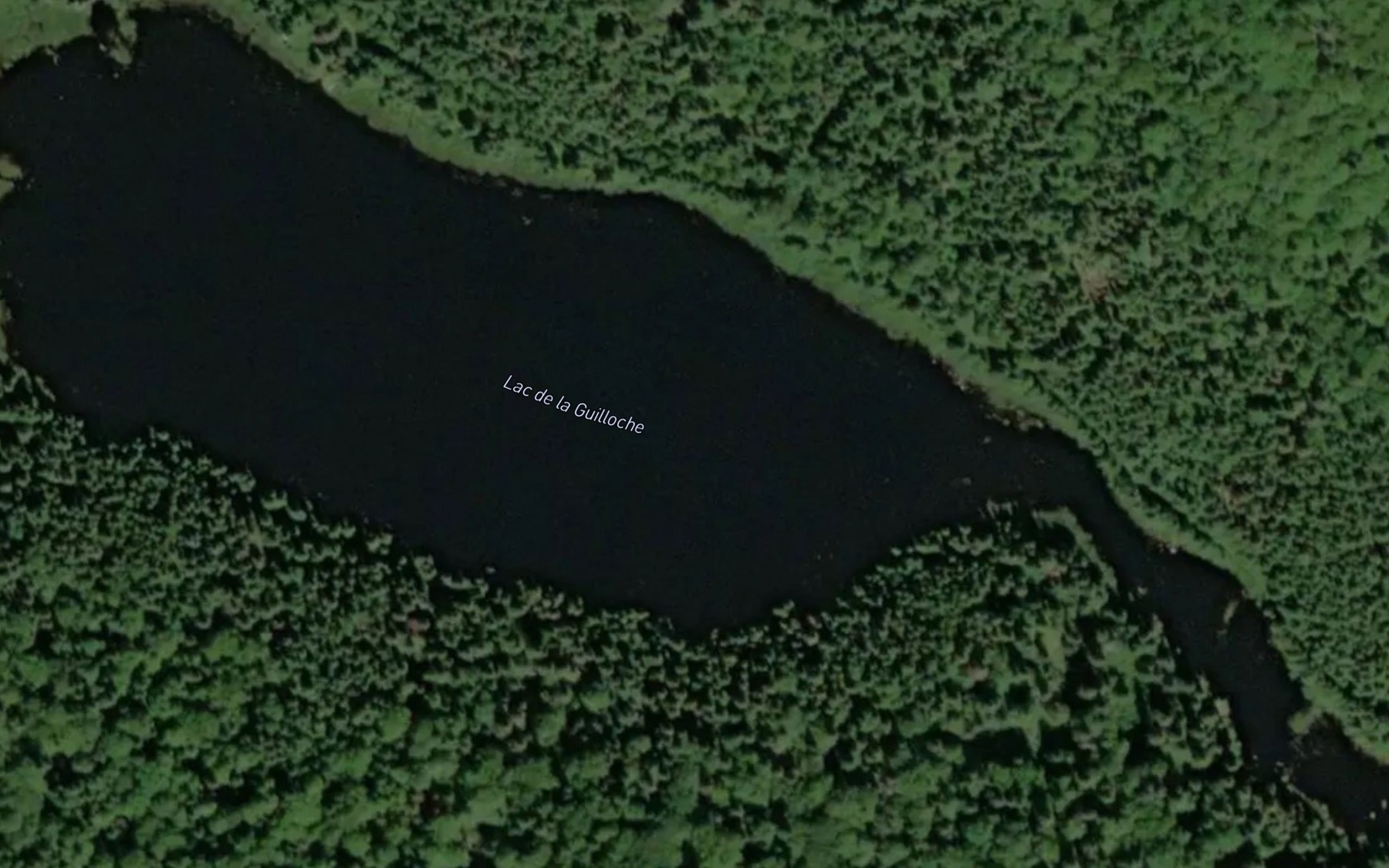 Satellite map of the Lac de la Guilloche