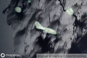 Togo Loo Coral Heads