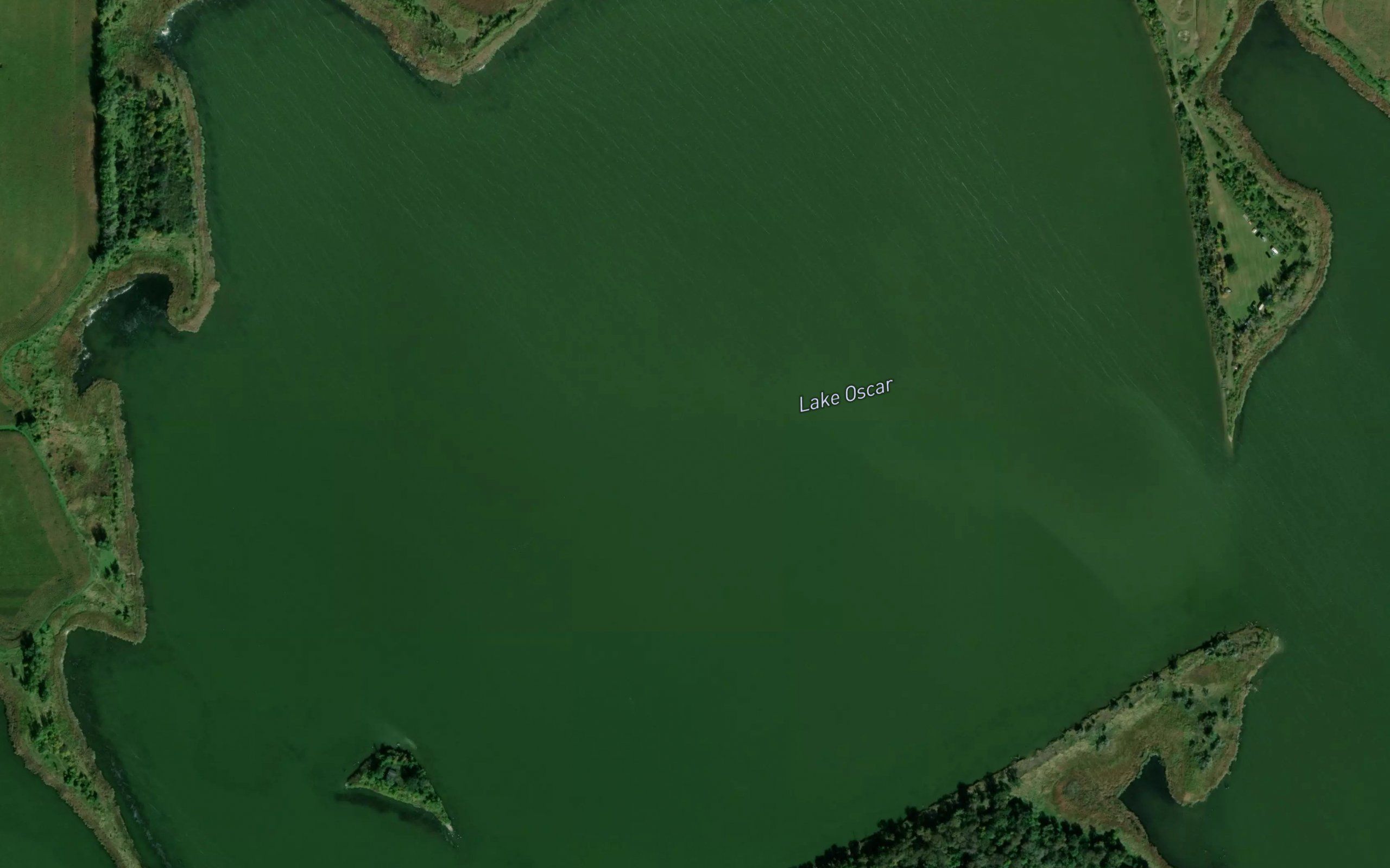 Lake Oscar