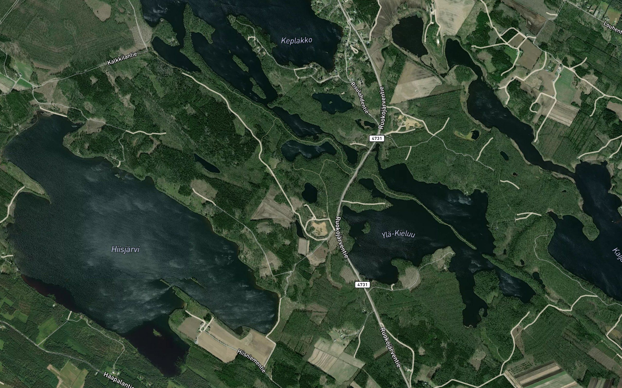 Haukilampi