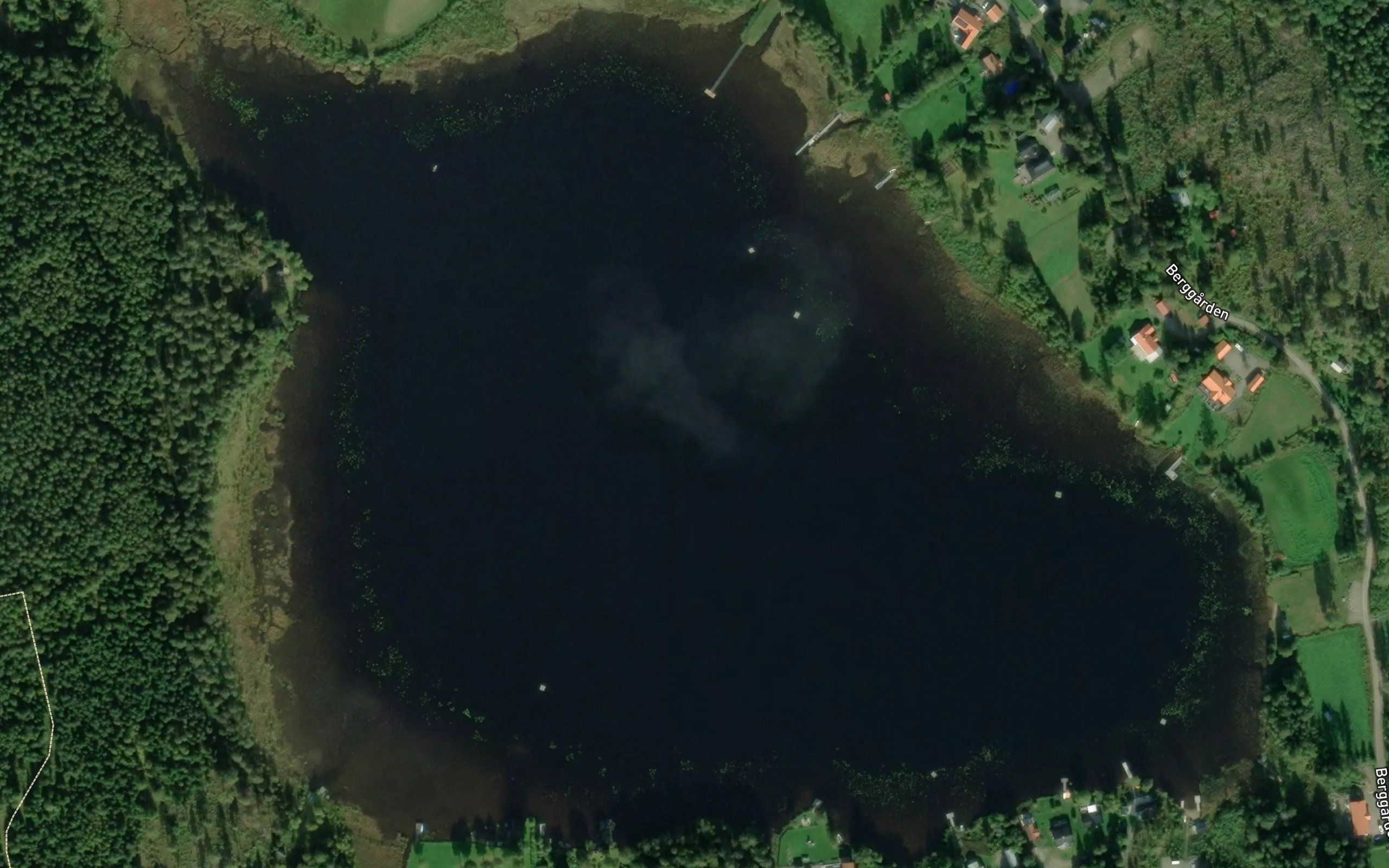 Mortsjon