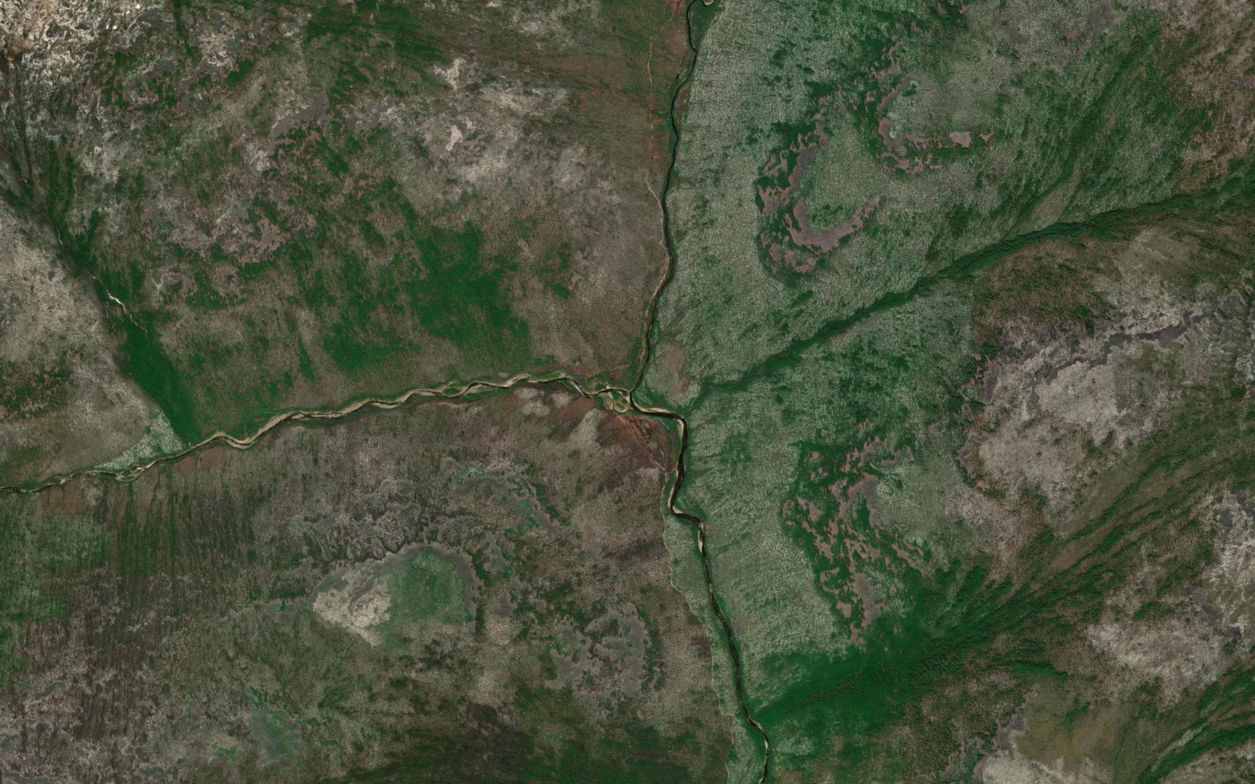 Satellite map of the Svetlaya