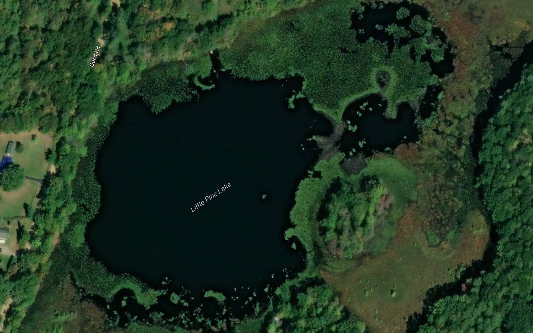 Satellite map of the Little Pine Lake