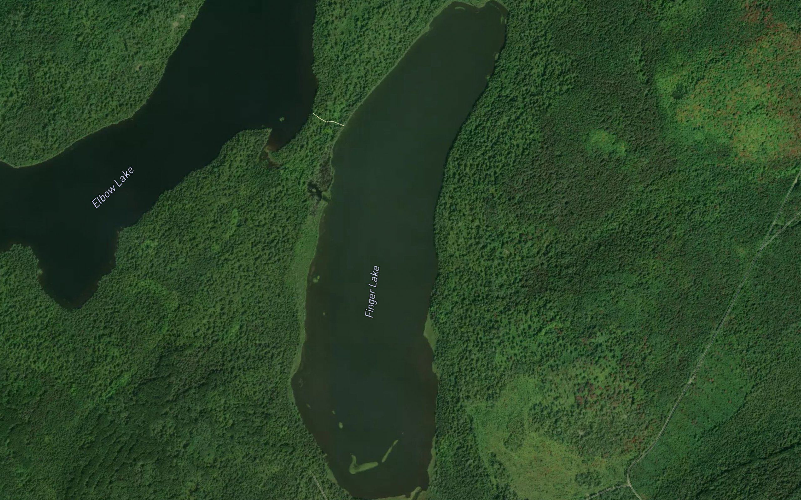 Finger Lake